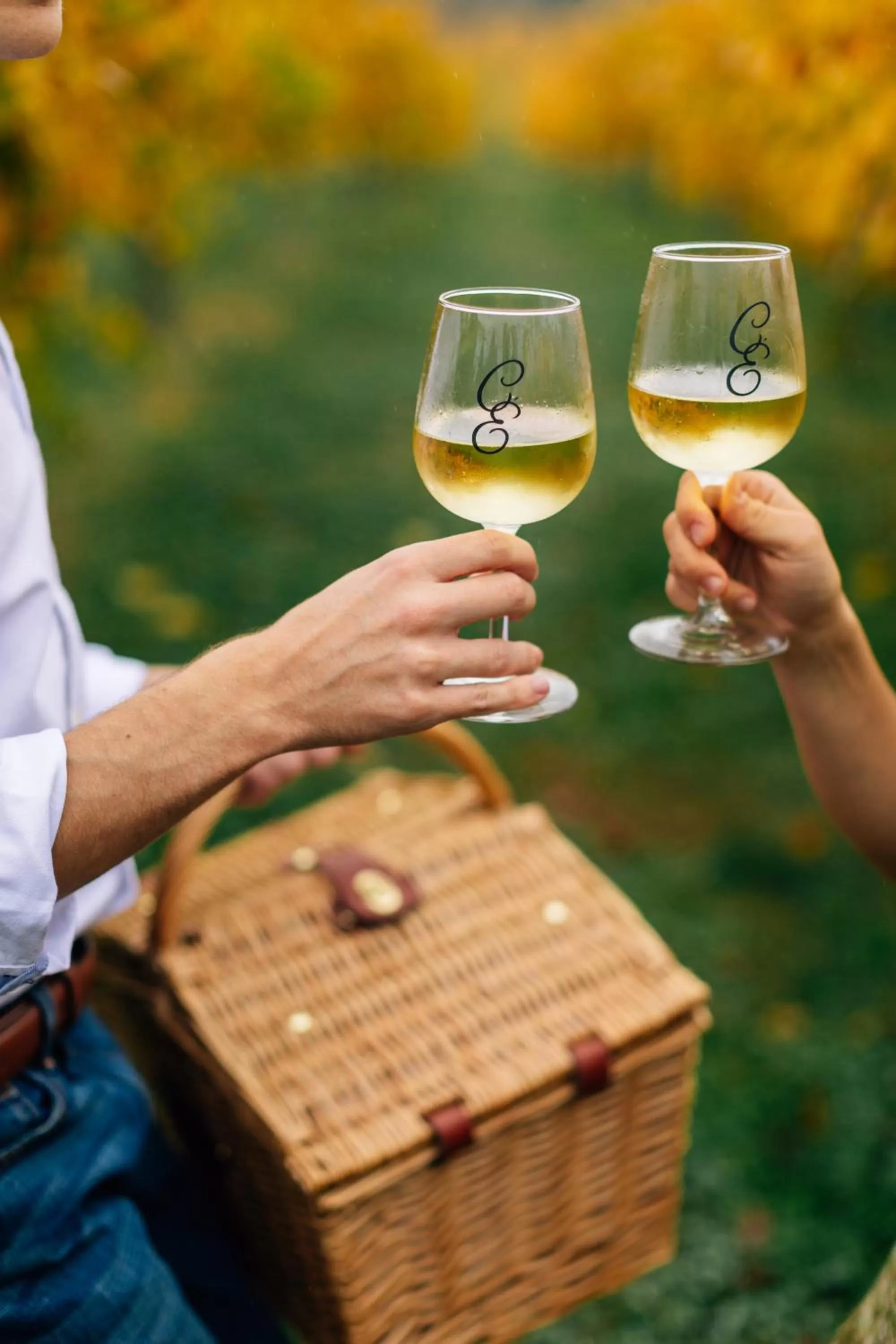 Natural landscape in Chateau Elan Winery