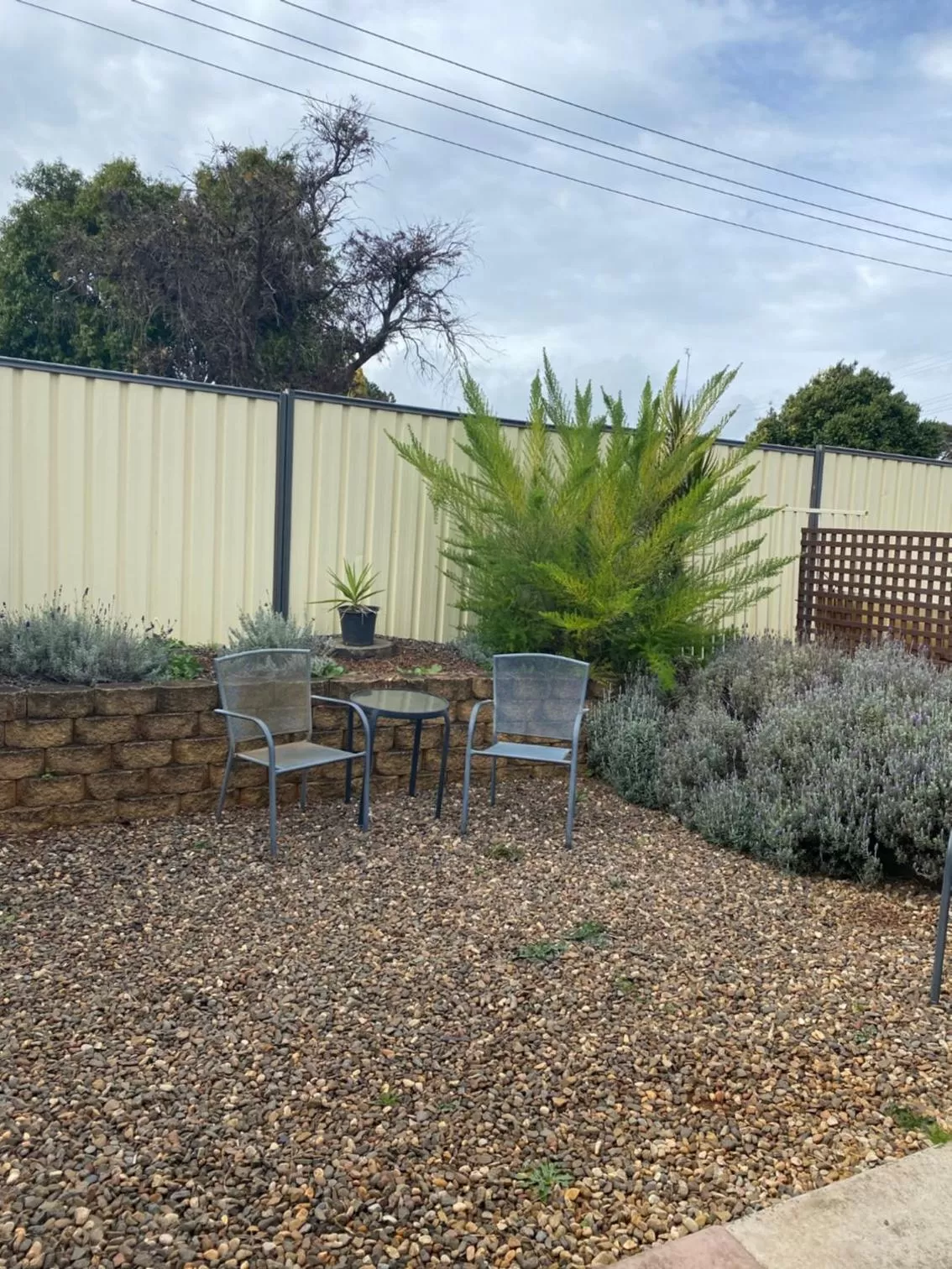 Garden view in Sunray Motor Inn