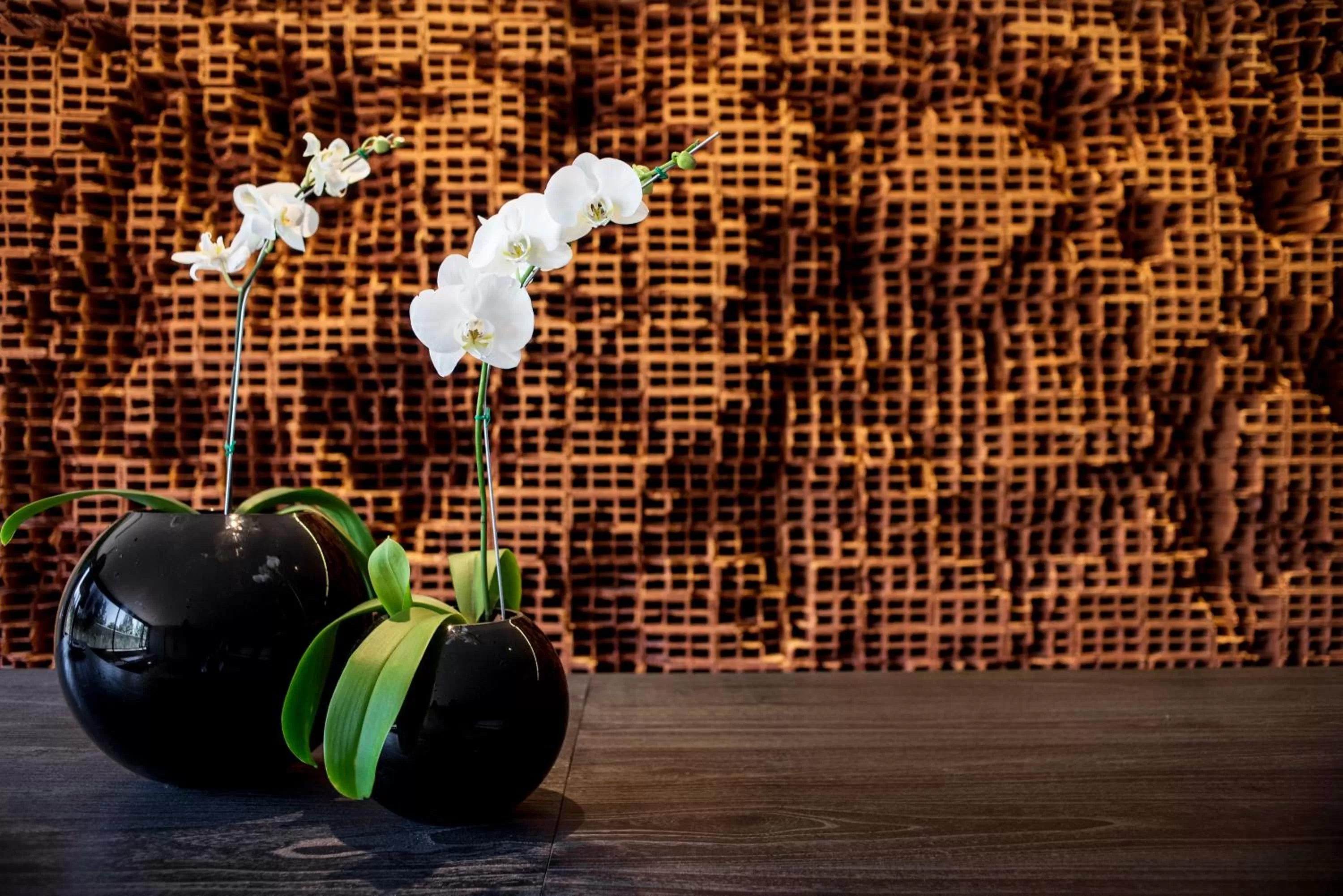 Lobby or reception in KOS Pilar Hotel