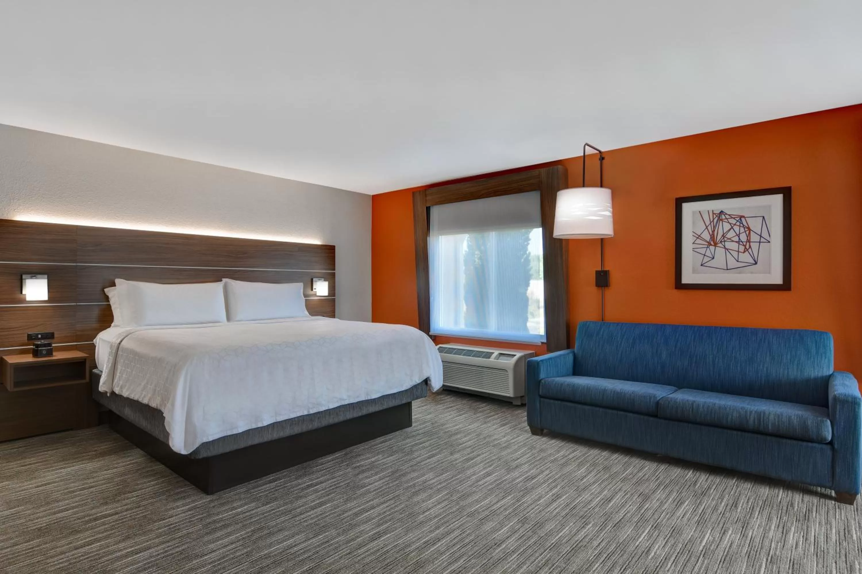 Photo of the whole room, Bed in Holiday Inn Express Hotel & Suites Anderson I-85 - HWY 76, Exit 19B by IHG