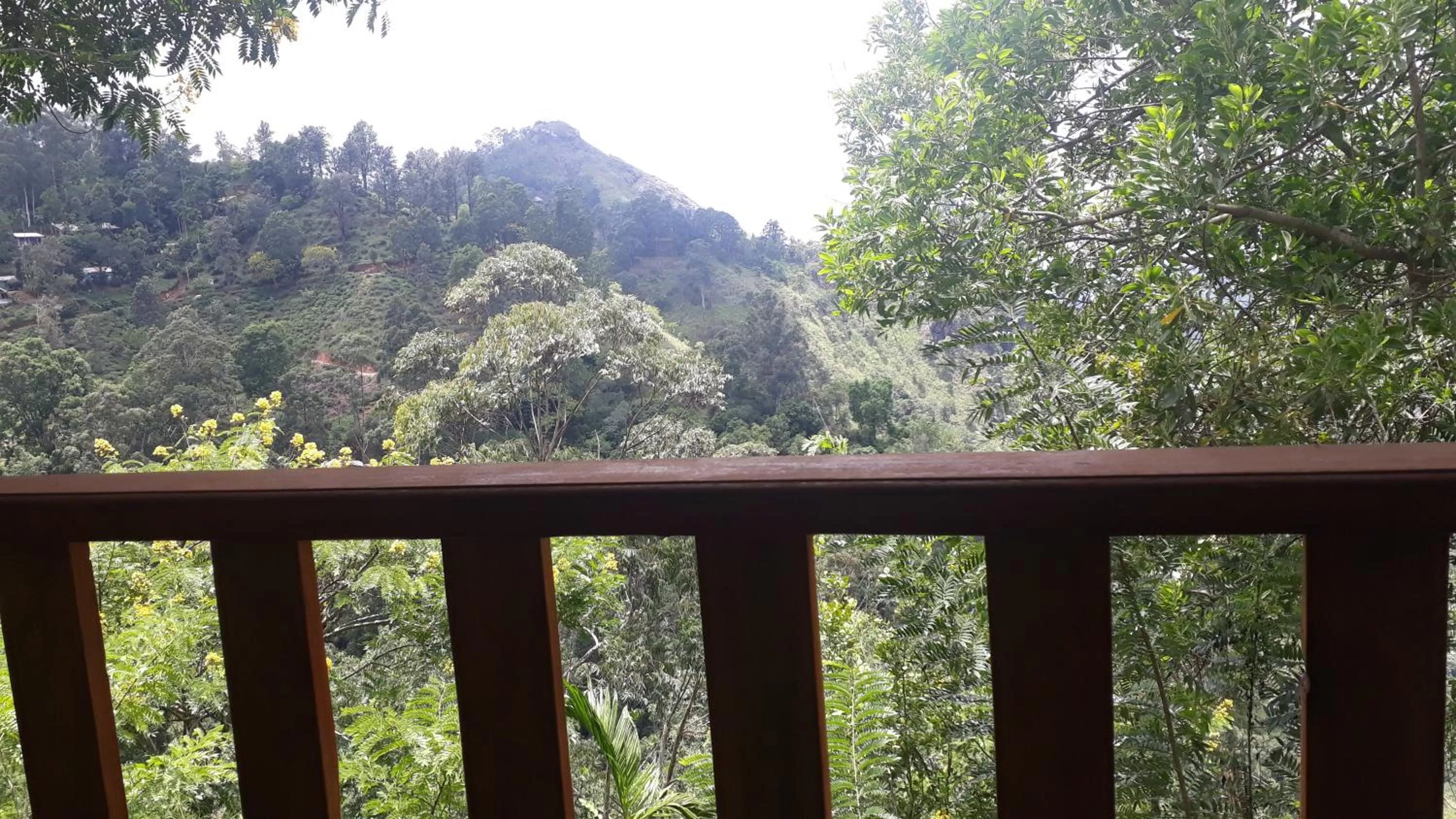 Mountain View in Felicity Inn