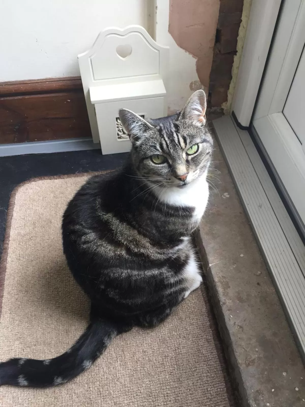 Pets in St.Catherine`s Cottage, The Old School House