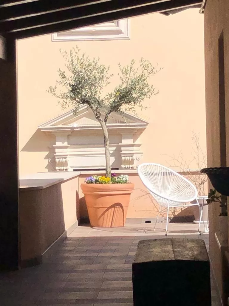 Property building in Casa Maggie