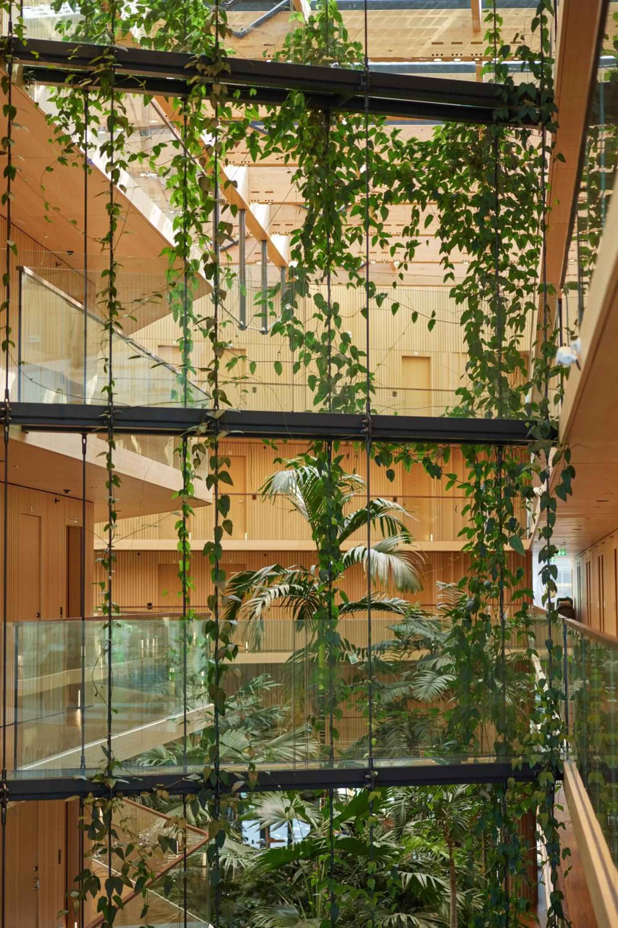 Area and facilities in Hotel Jakarta Amsterdam