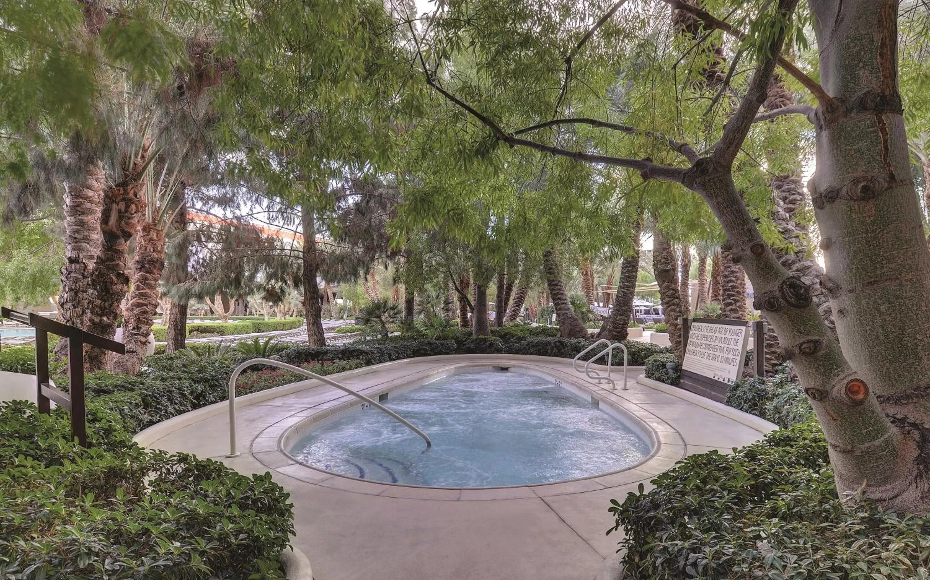 Swimming pool in ARIA Resort & Casino