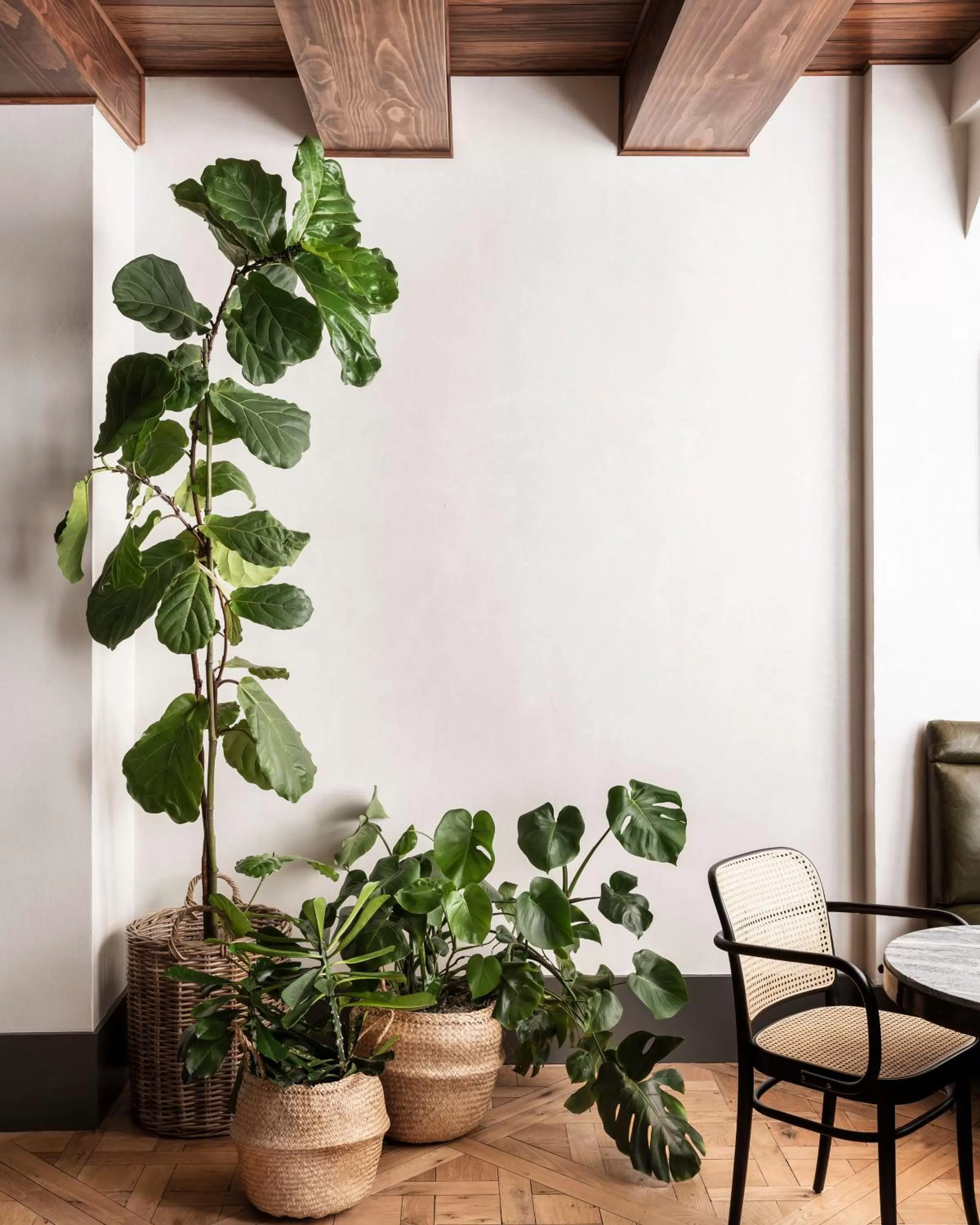 Lobby or reception in ROOST Rittenhouse