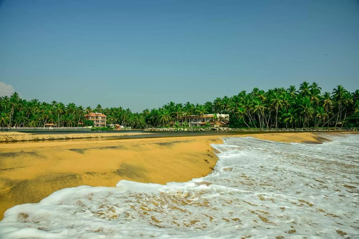Natural landscape in Beach and Lake Ayurvedic Resort, Kovalam