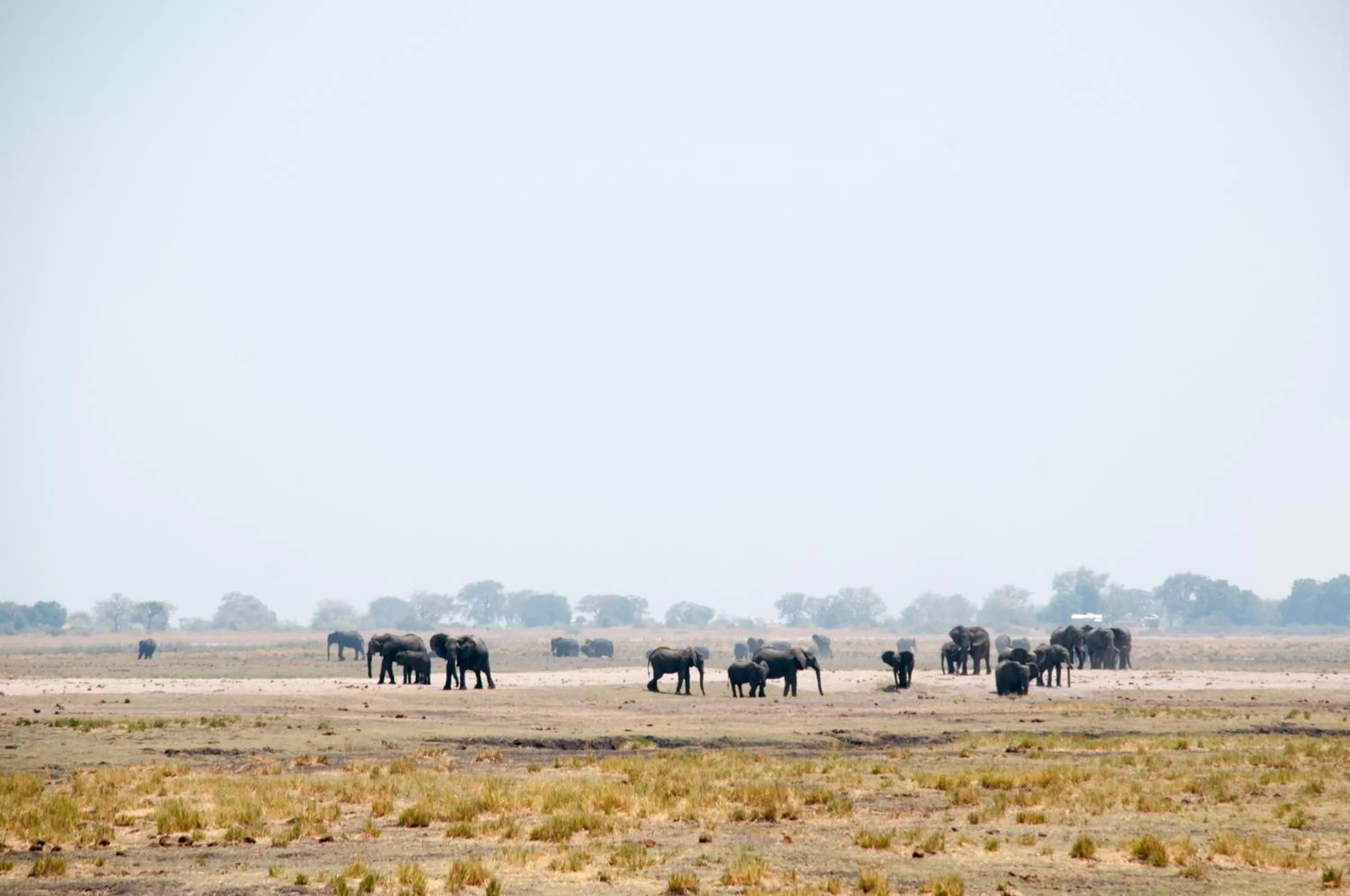 Nearby landmark in Okavango Lodge