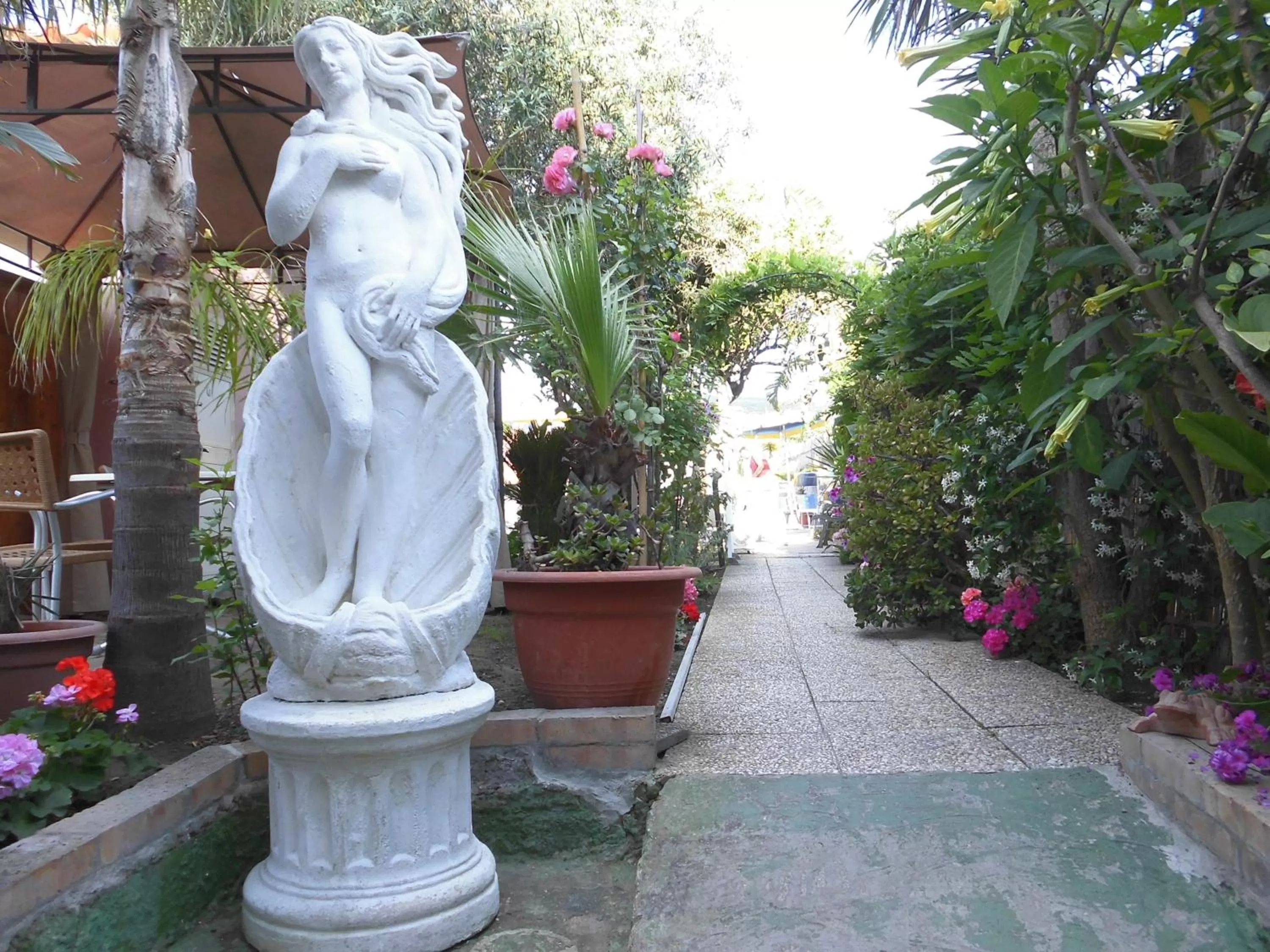 Swimming pool in Hotel Casa Nicola