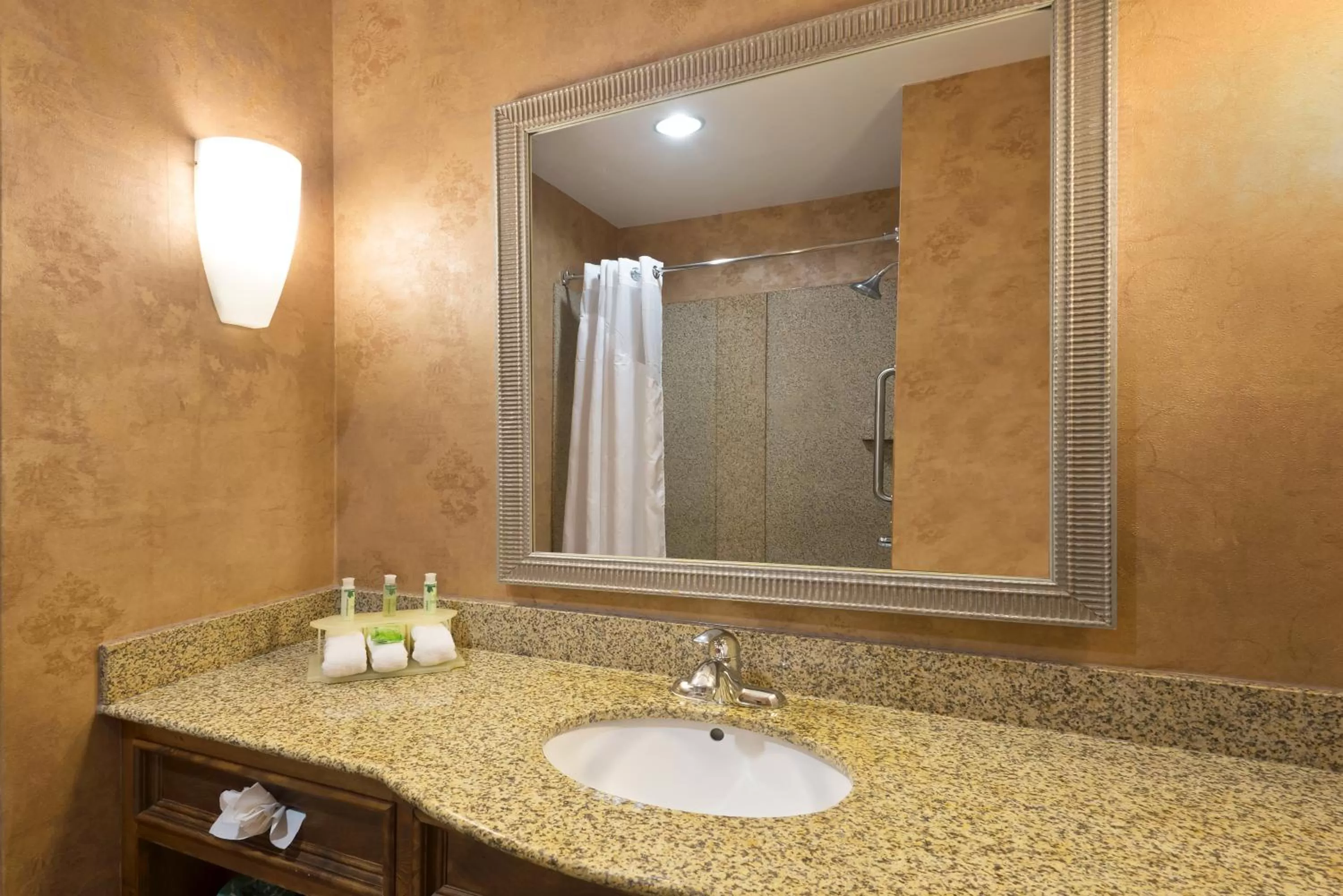 King Suite with Spa Bath - Non-Smoking in Holiday Inn Express Suites Little Rock West by IHG