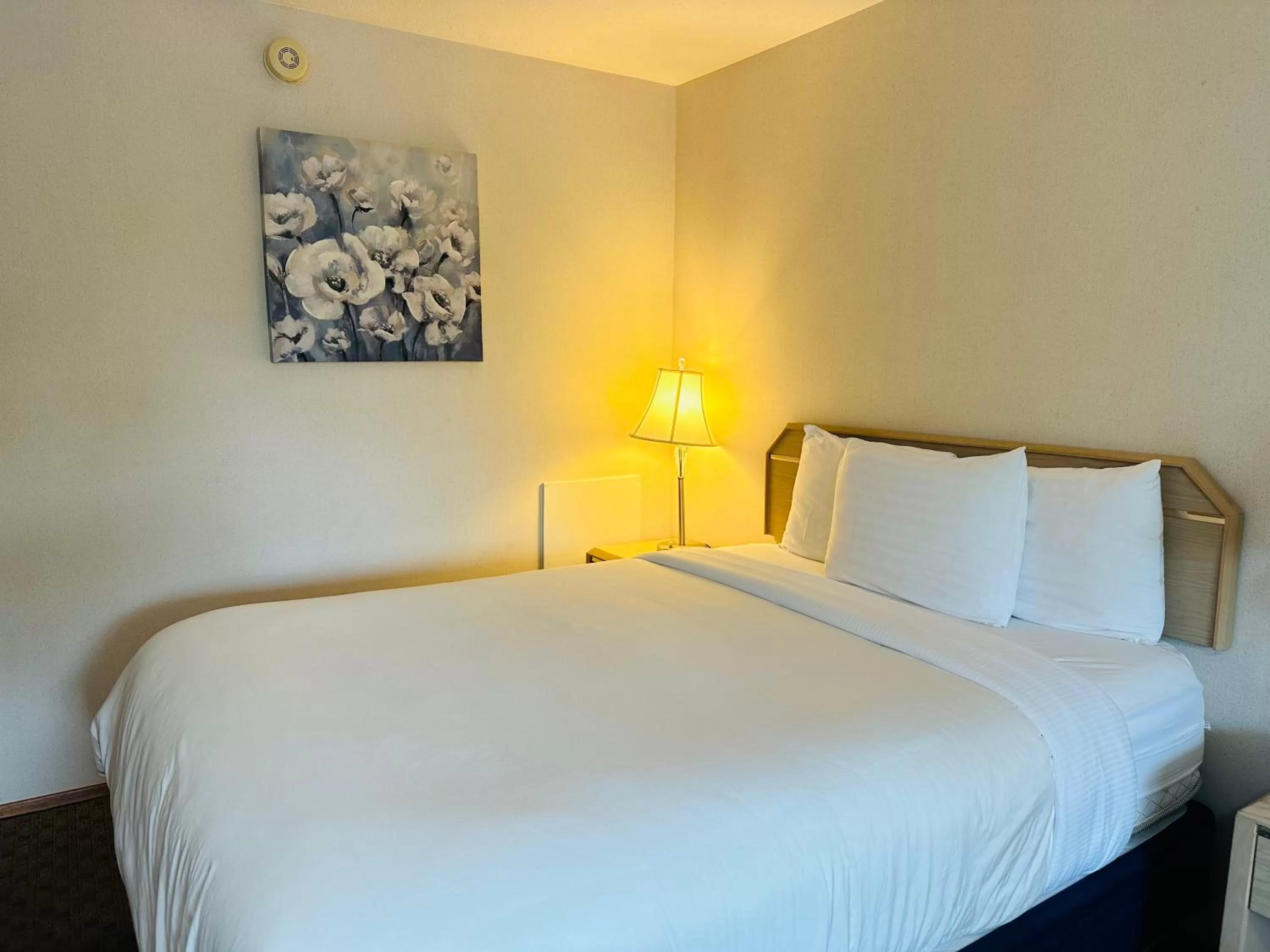 Bed in Timberland Inn & Suites