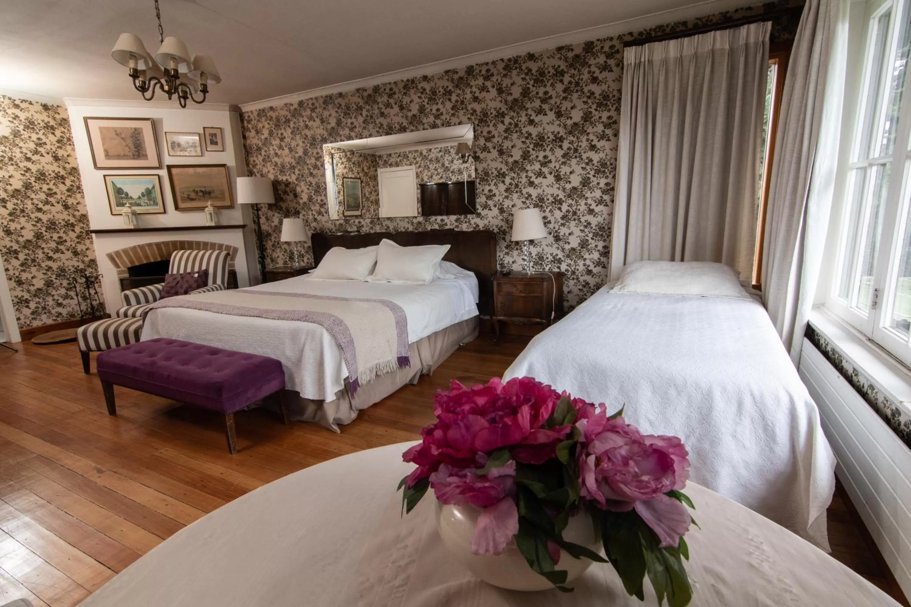 Photo of the whole room, Bed in Hotel El Ciervo