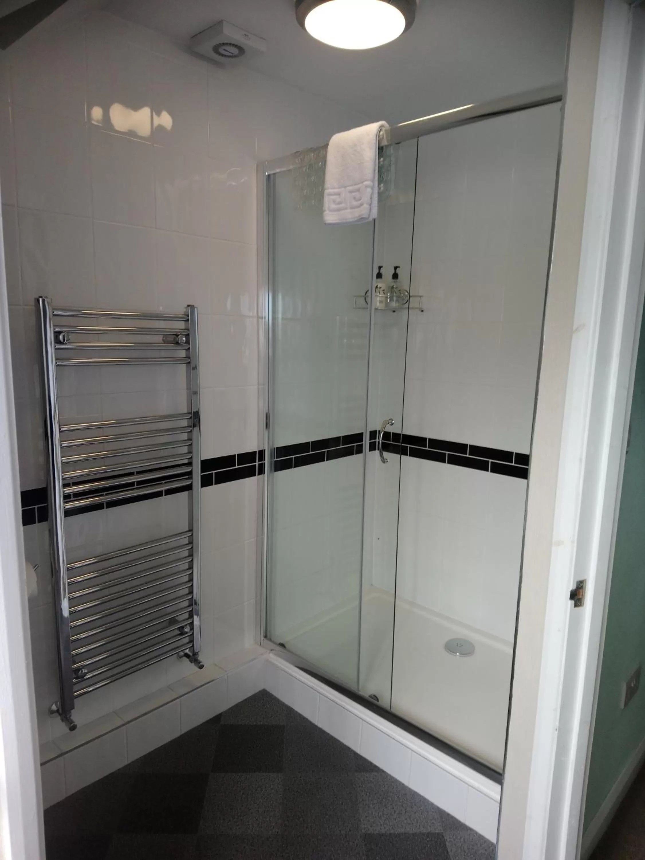 Shower in Cranmore Guest House