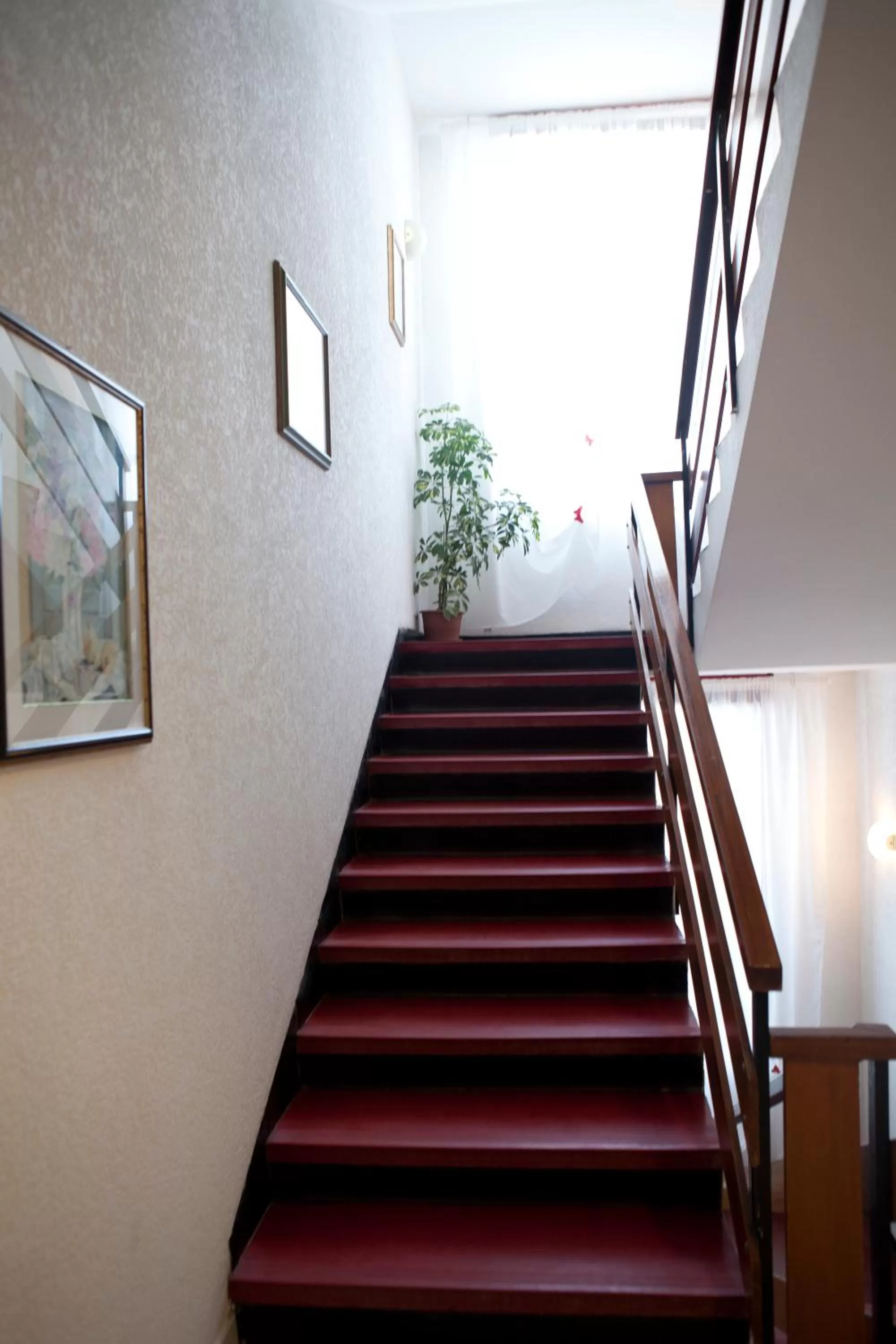 Other in Hotel Sant'Angelo