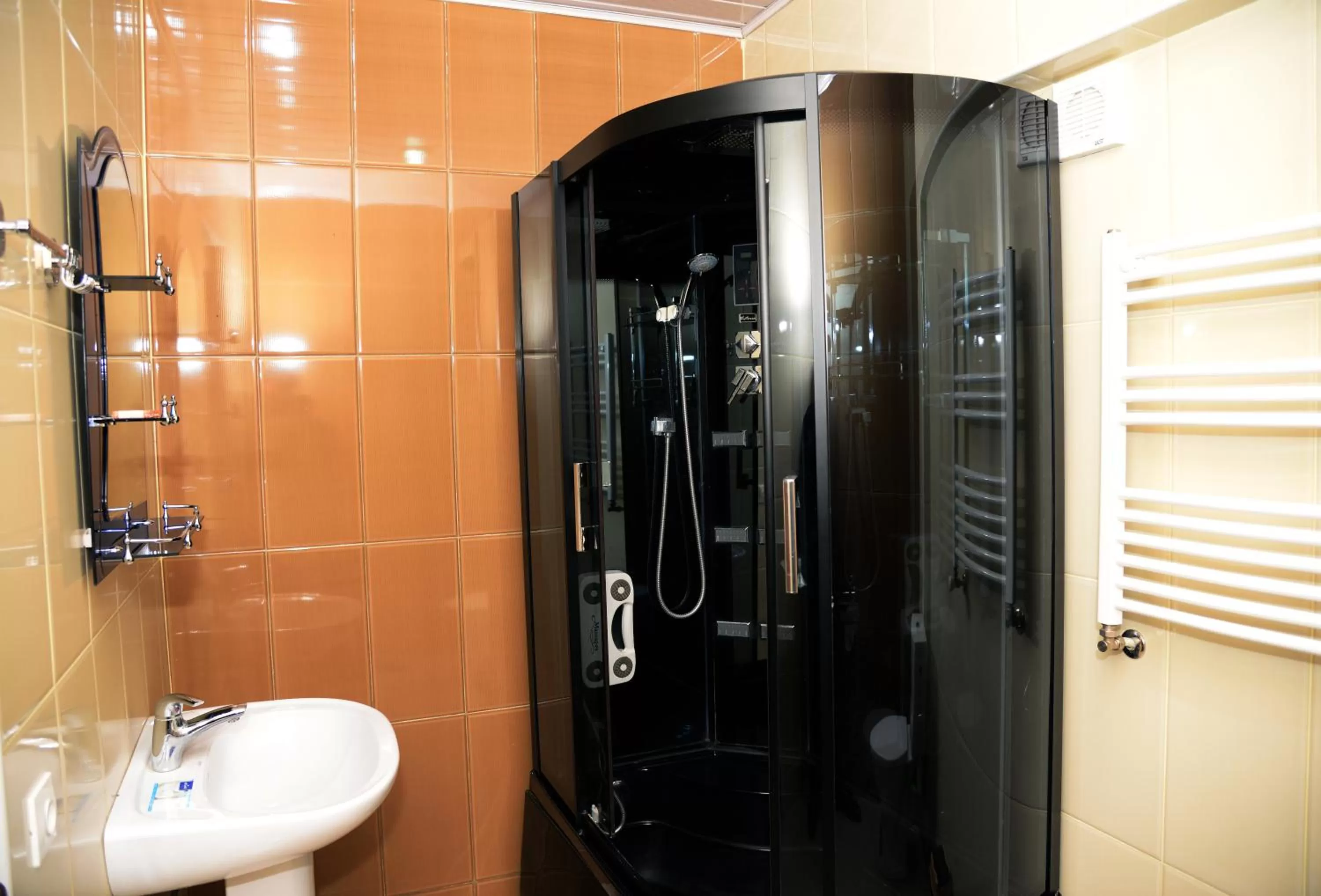 Bathroom in Hotel Elegant