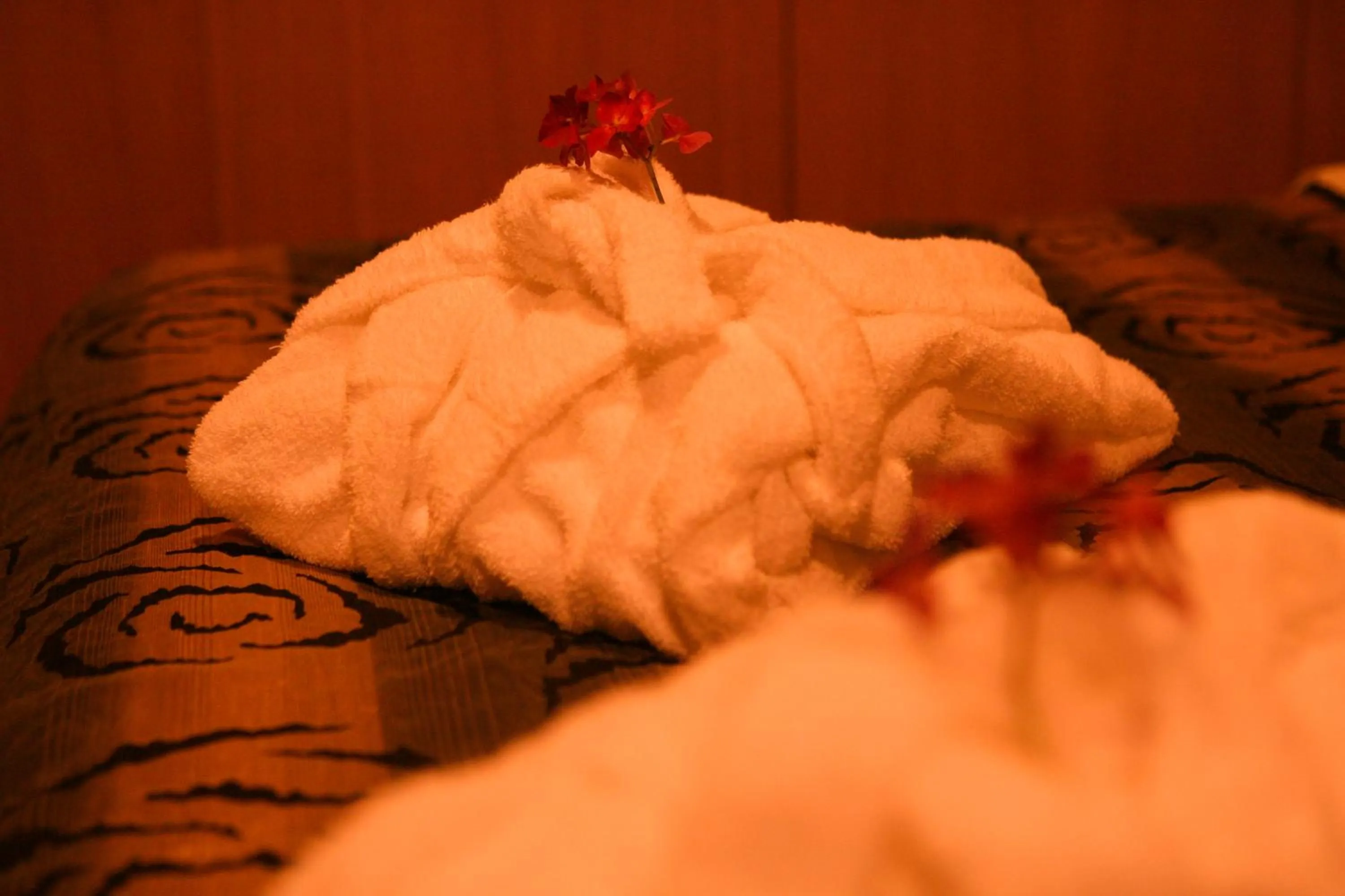 Toilet in Hotel Rural Alves - BRAGA - Casa Alves de Torneiros