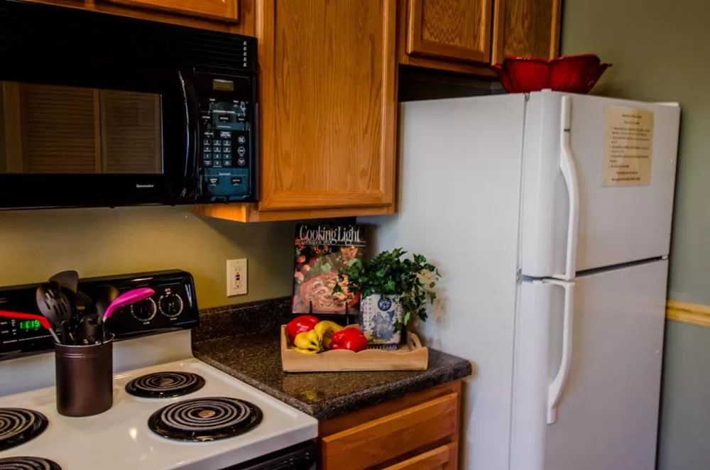 Kitchen or kitchenette in Asheville Cabins of Willow Winds