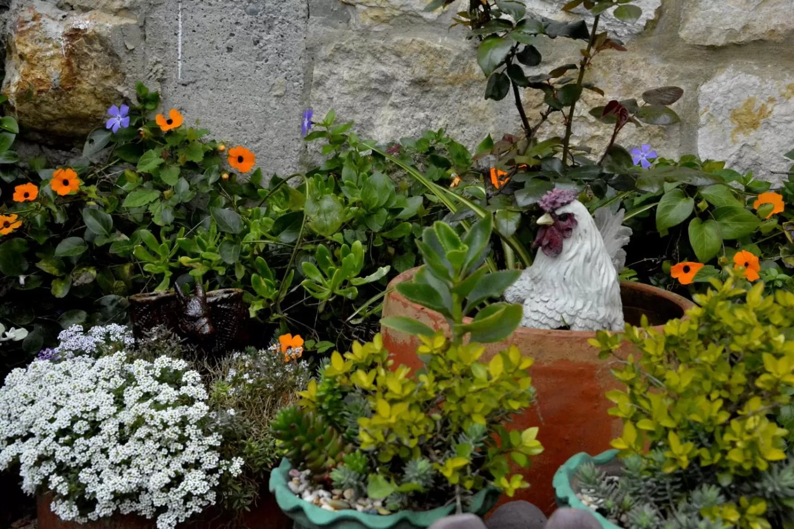 Garden in El Pedregal Sopó