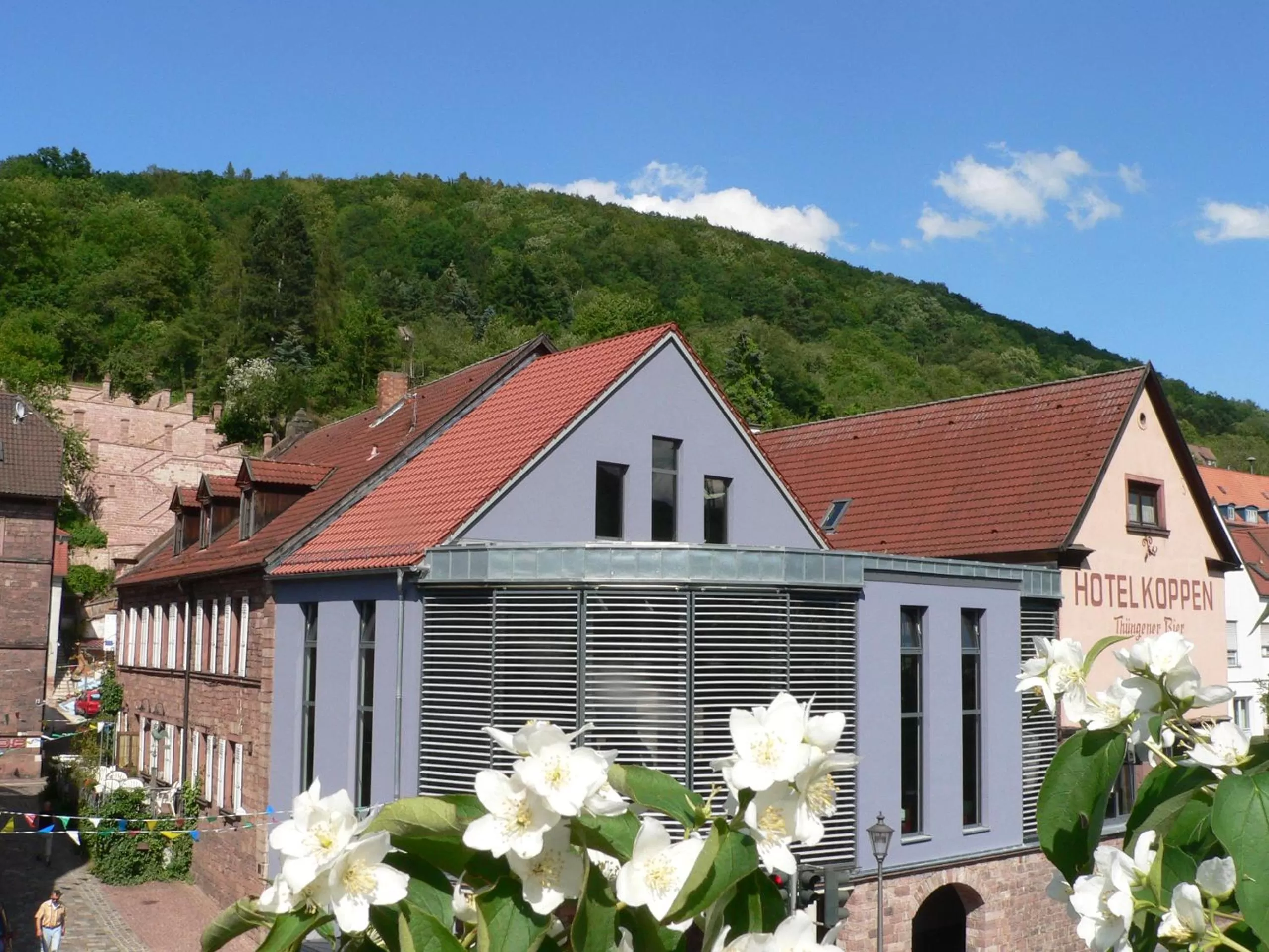Property building in Fränkischer Gasthof-Hotel zum Koppen