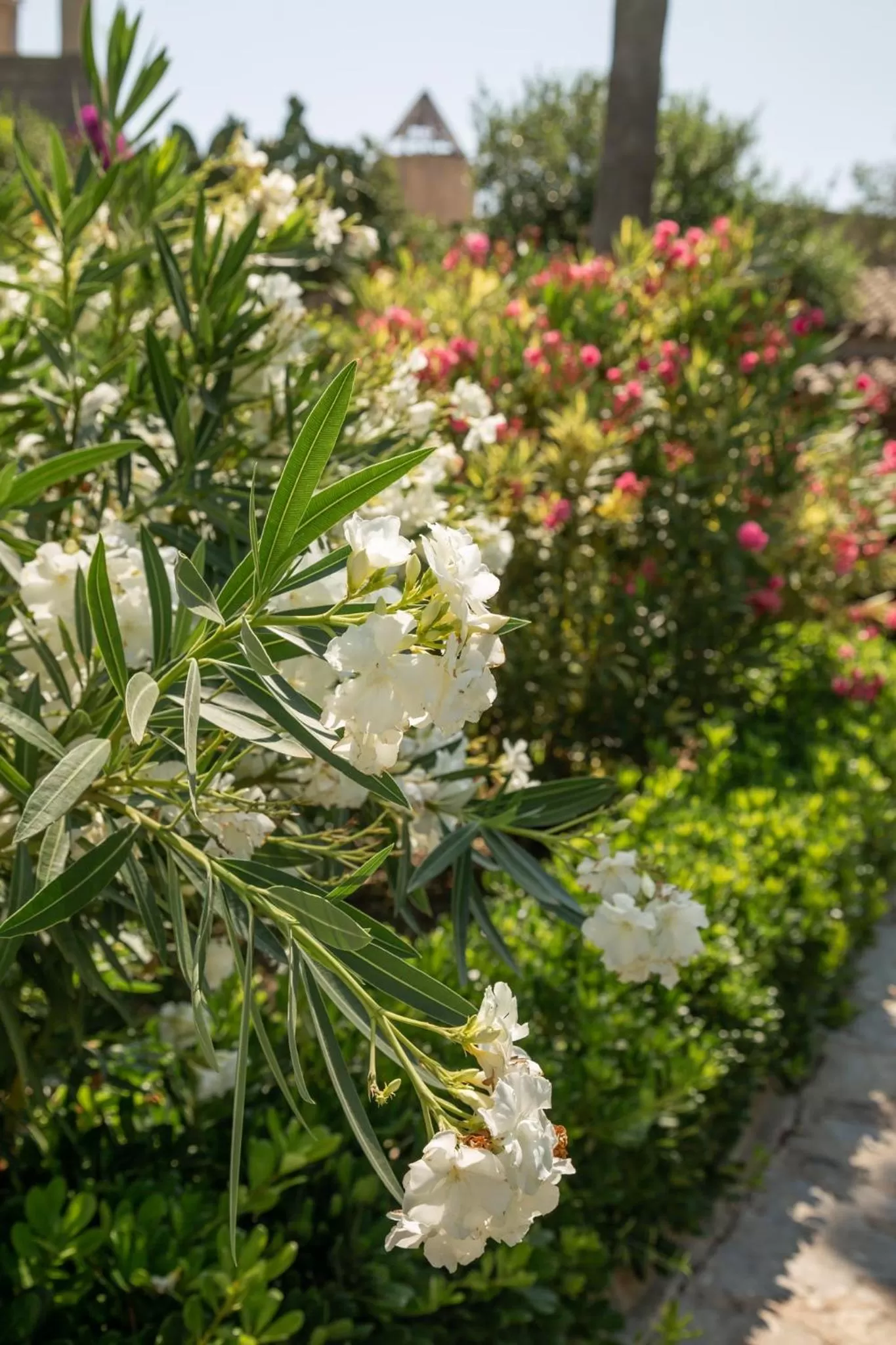 Can Moio Turismo de Interior