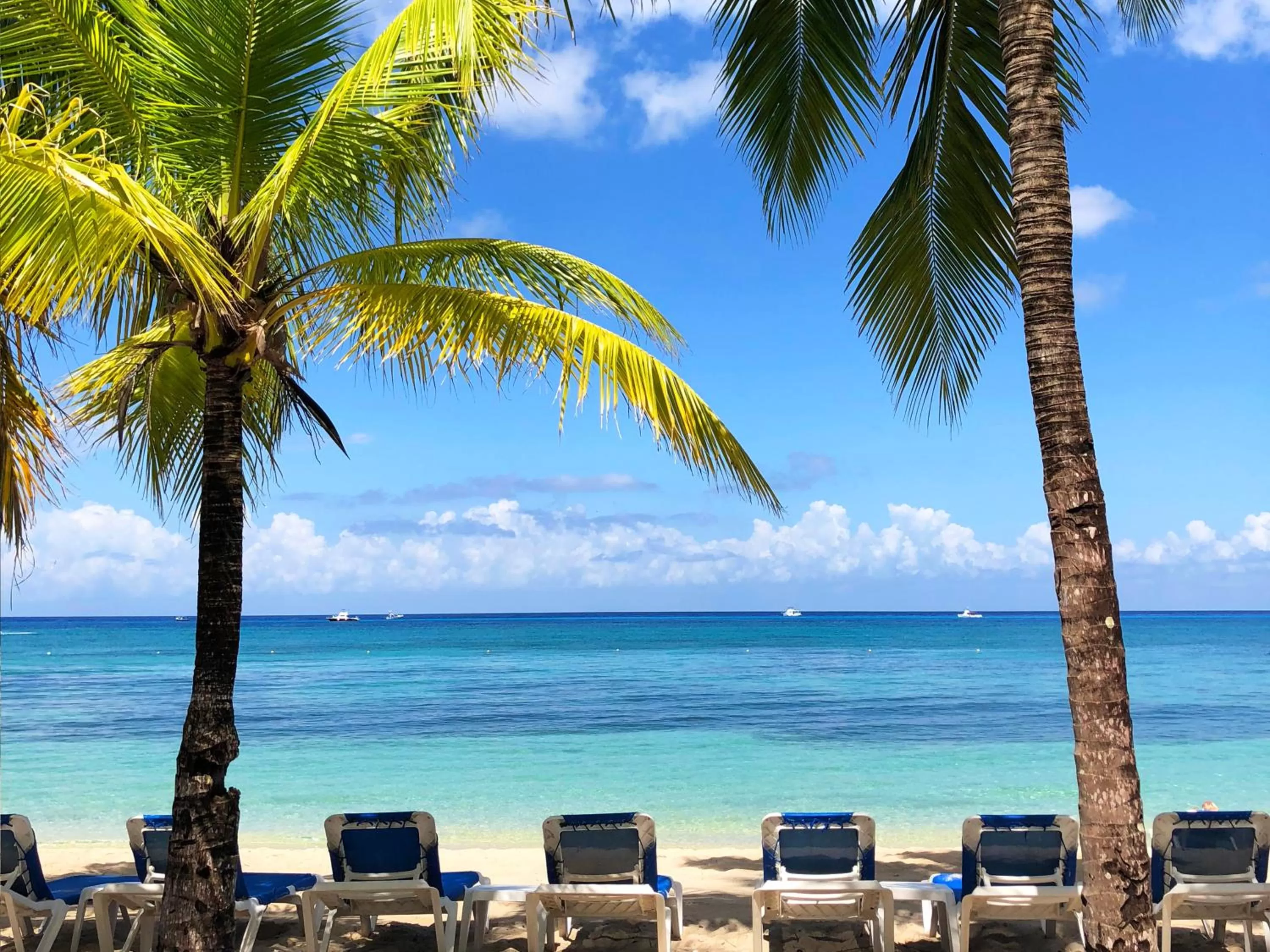 Beach in Allegro Cozumel All-Inclusive