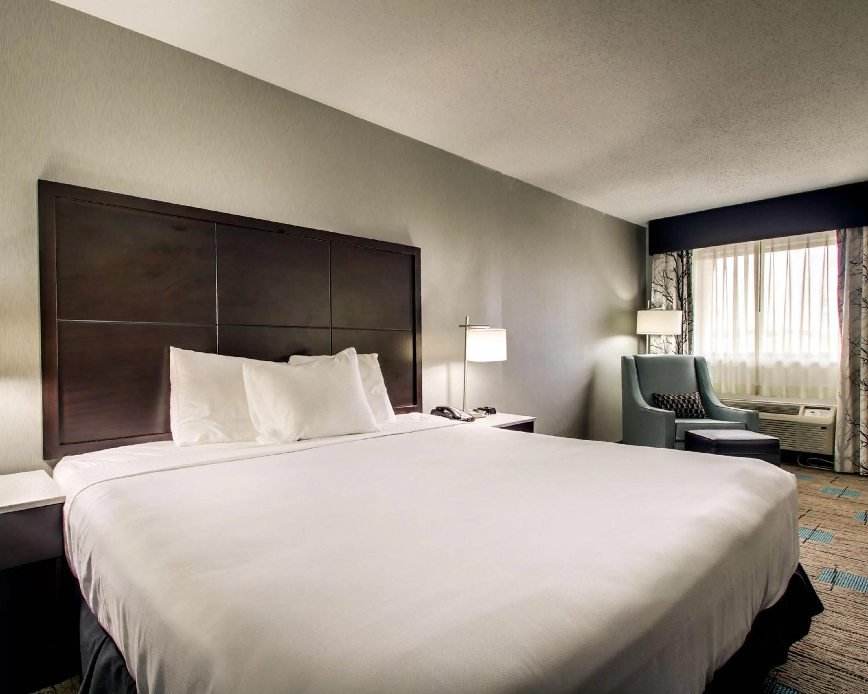 Photo of the whole room in SureStay Hotel by Best Western Richland