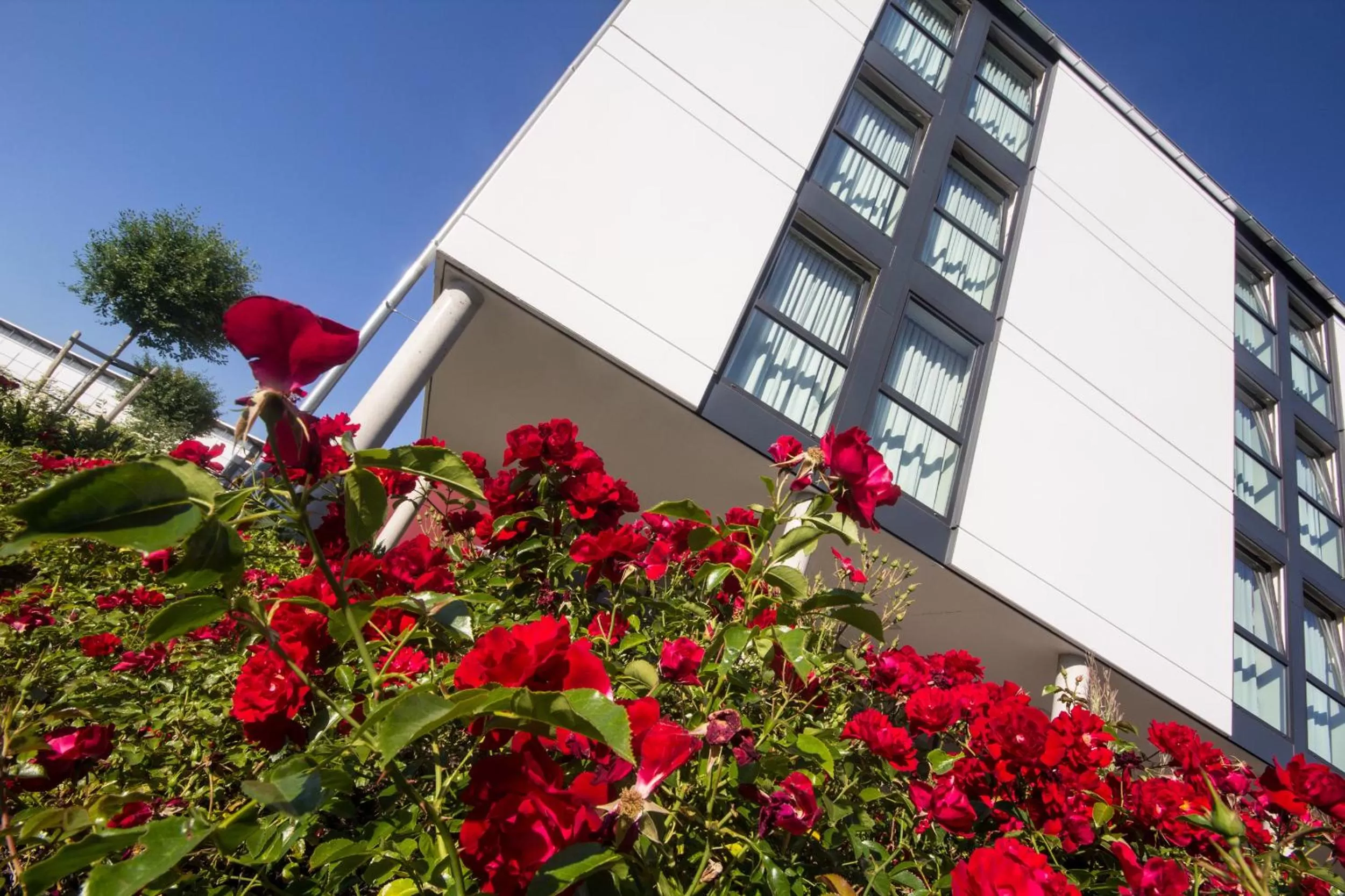 Property building in iQ-Hotel Ulm