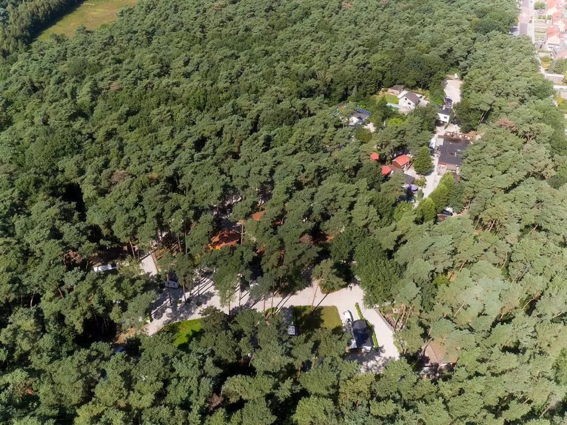 Day, Bird's-eye View in Motel- Bungalow-& Chaletpark de Brenkberg