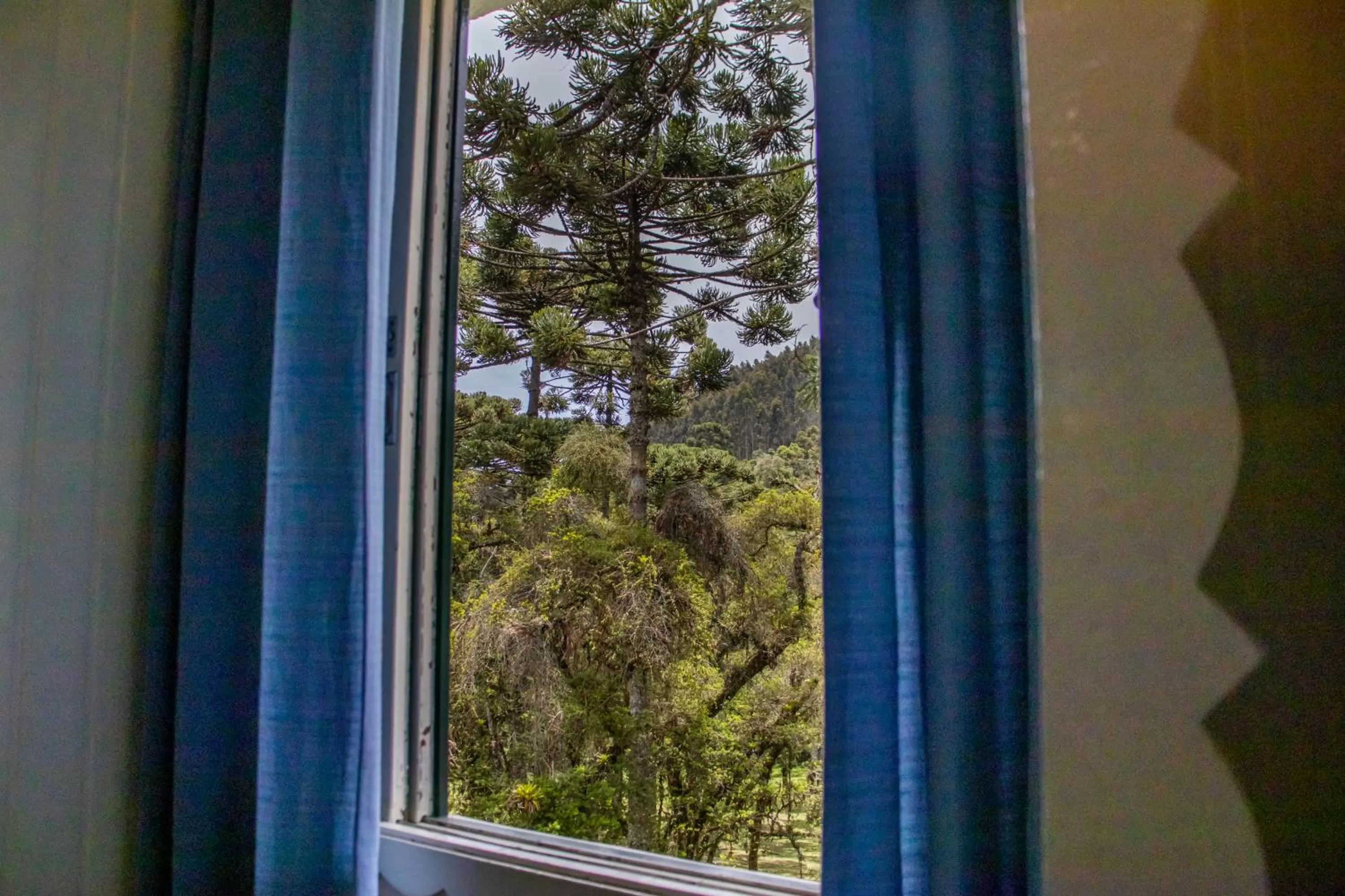 View (from property/room) in Green Village Hotel