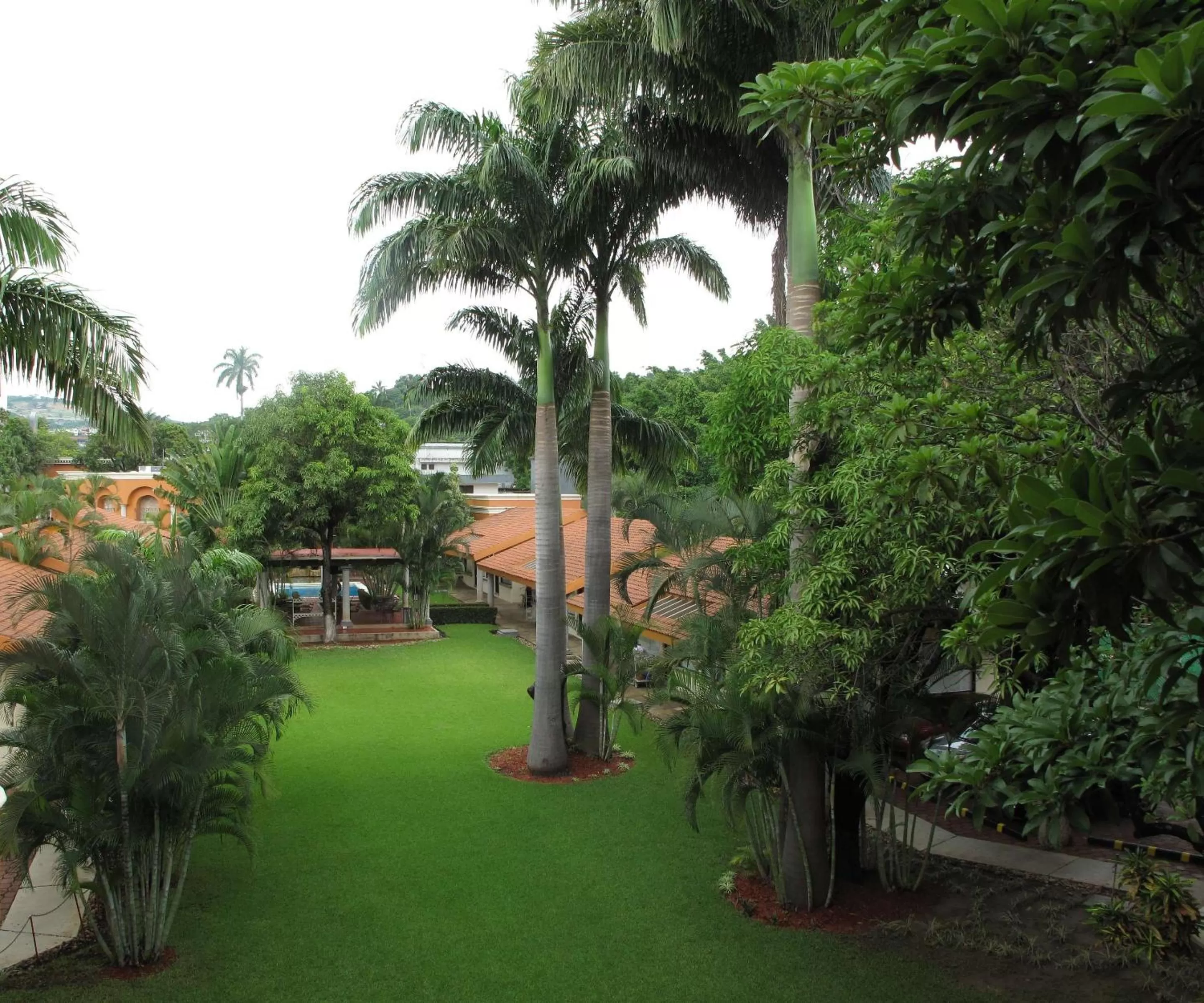 Garden in Hotel Palmareca