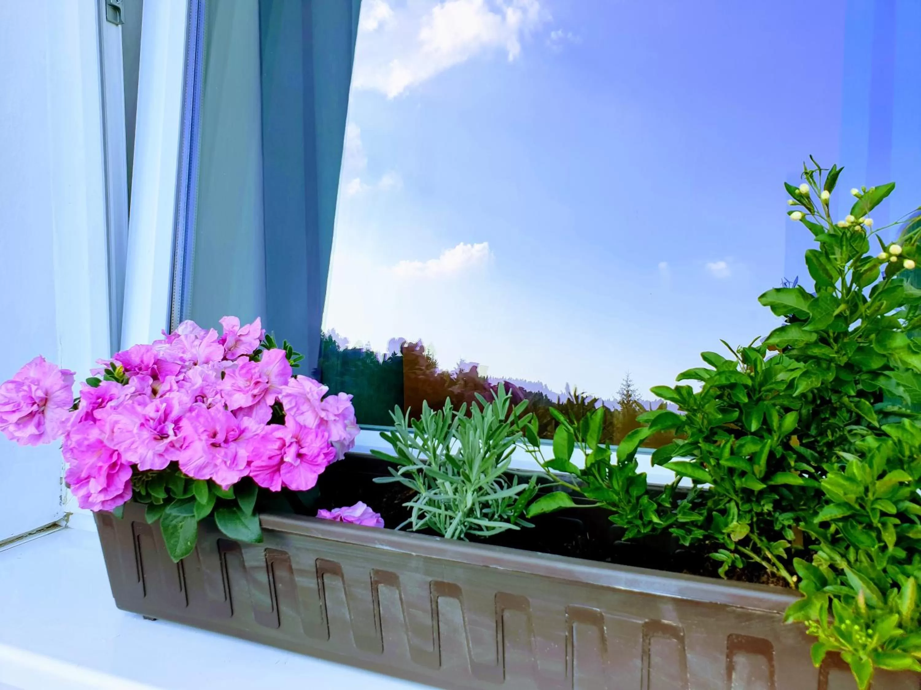 Balcony/Terrace in Penzion Lumis