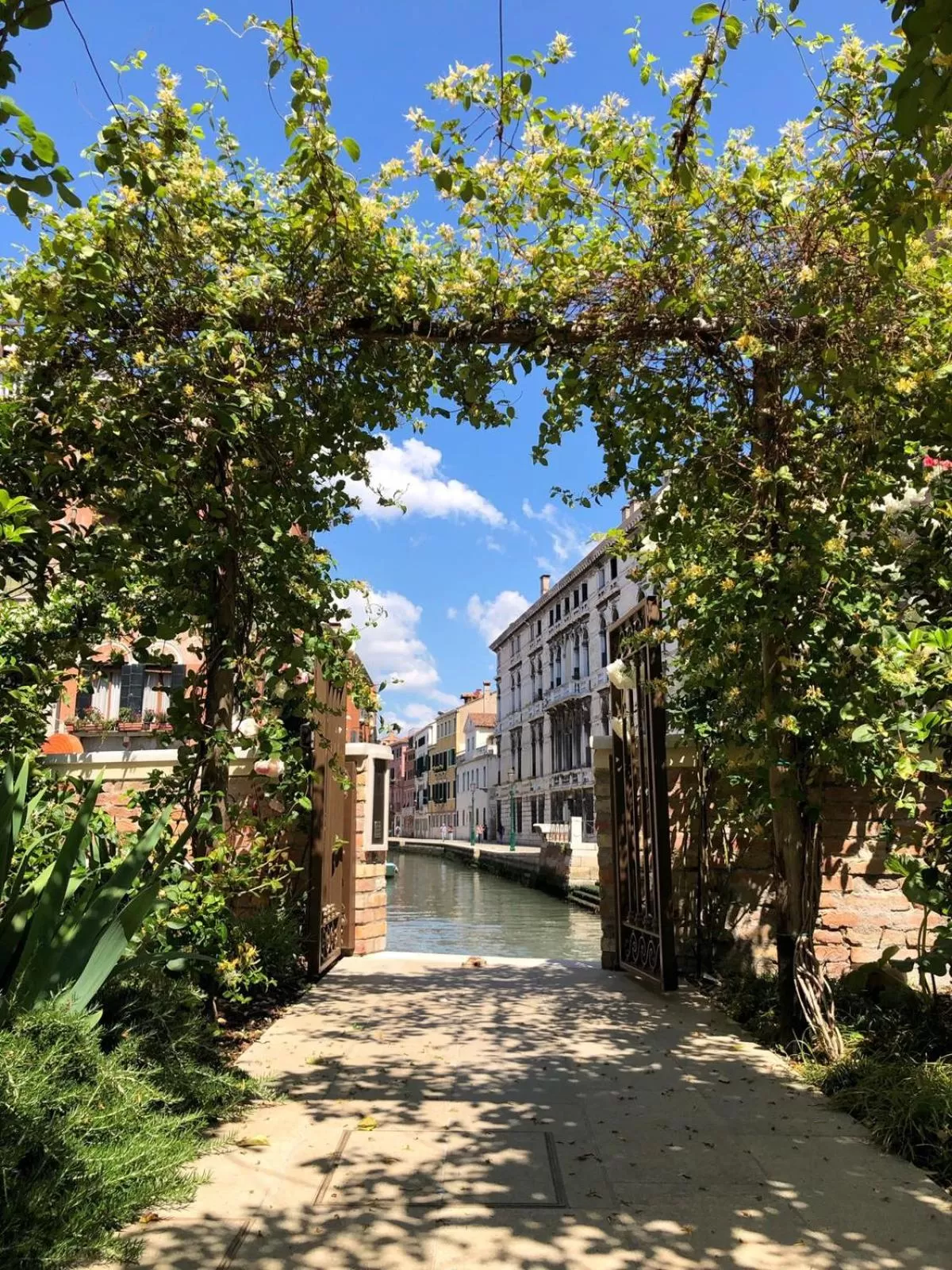 City view in Madama Garden Retreat