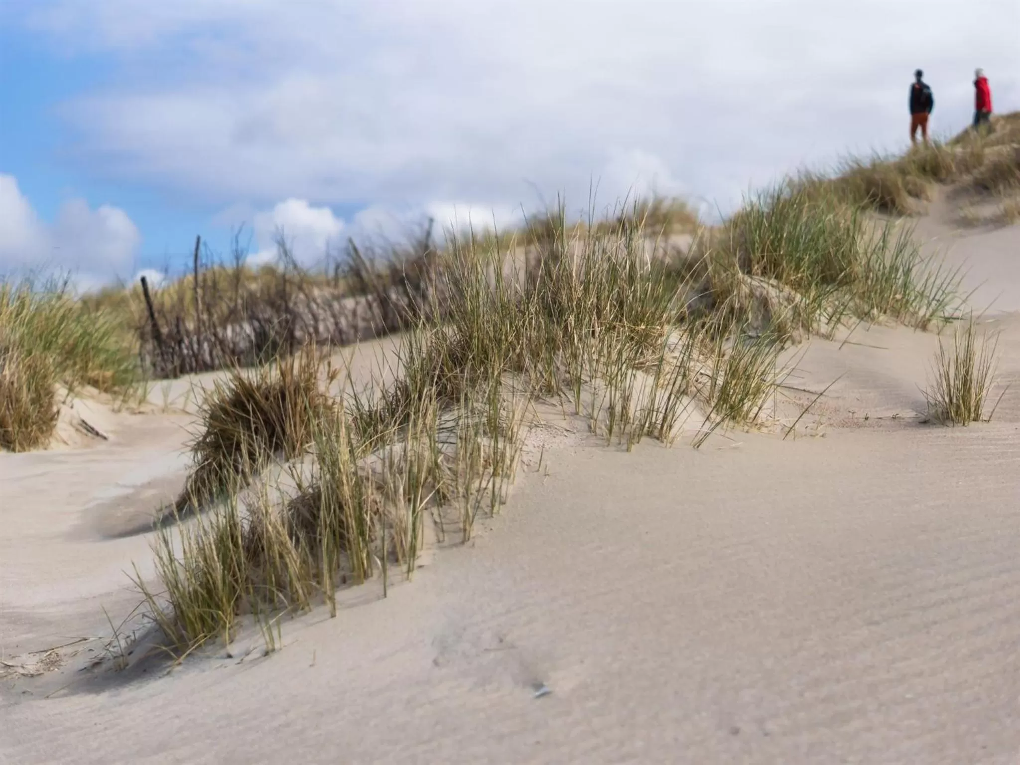 Other, Winter in Inselhotel Bruns