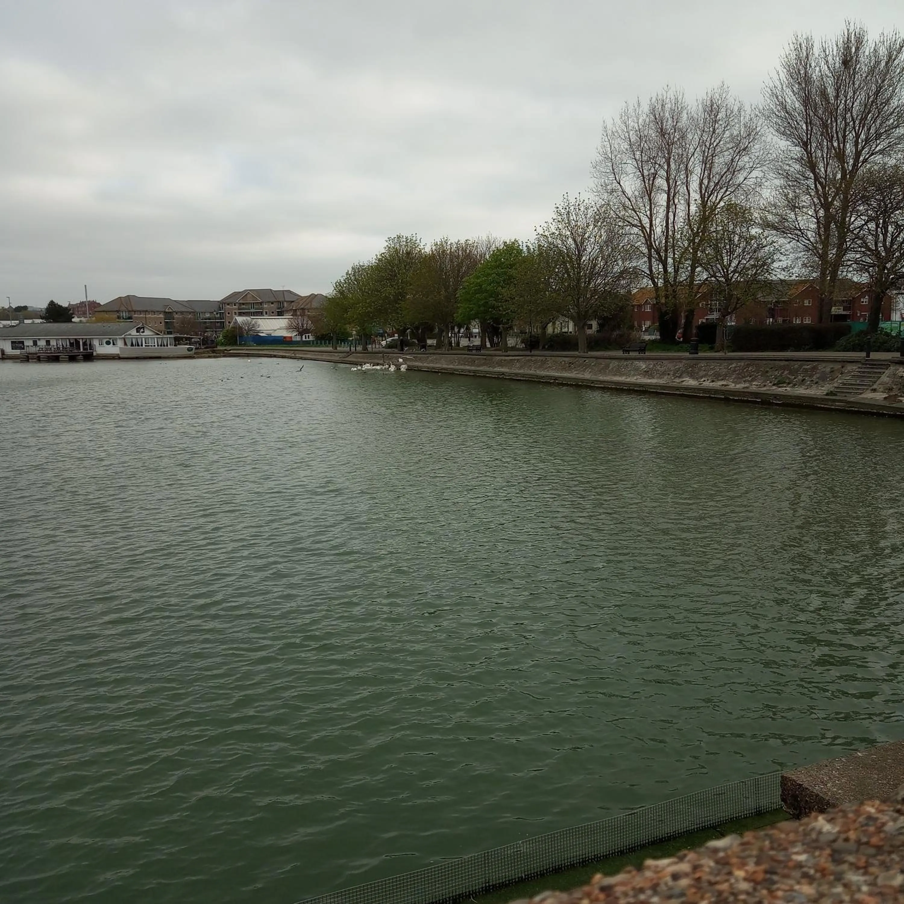 Natural landscape in The Wilton Weymouth