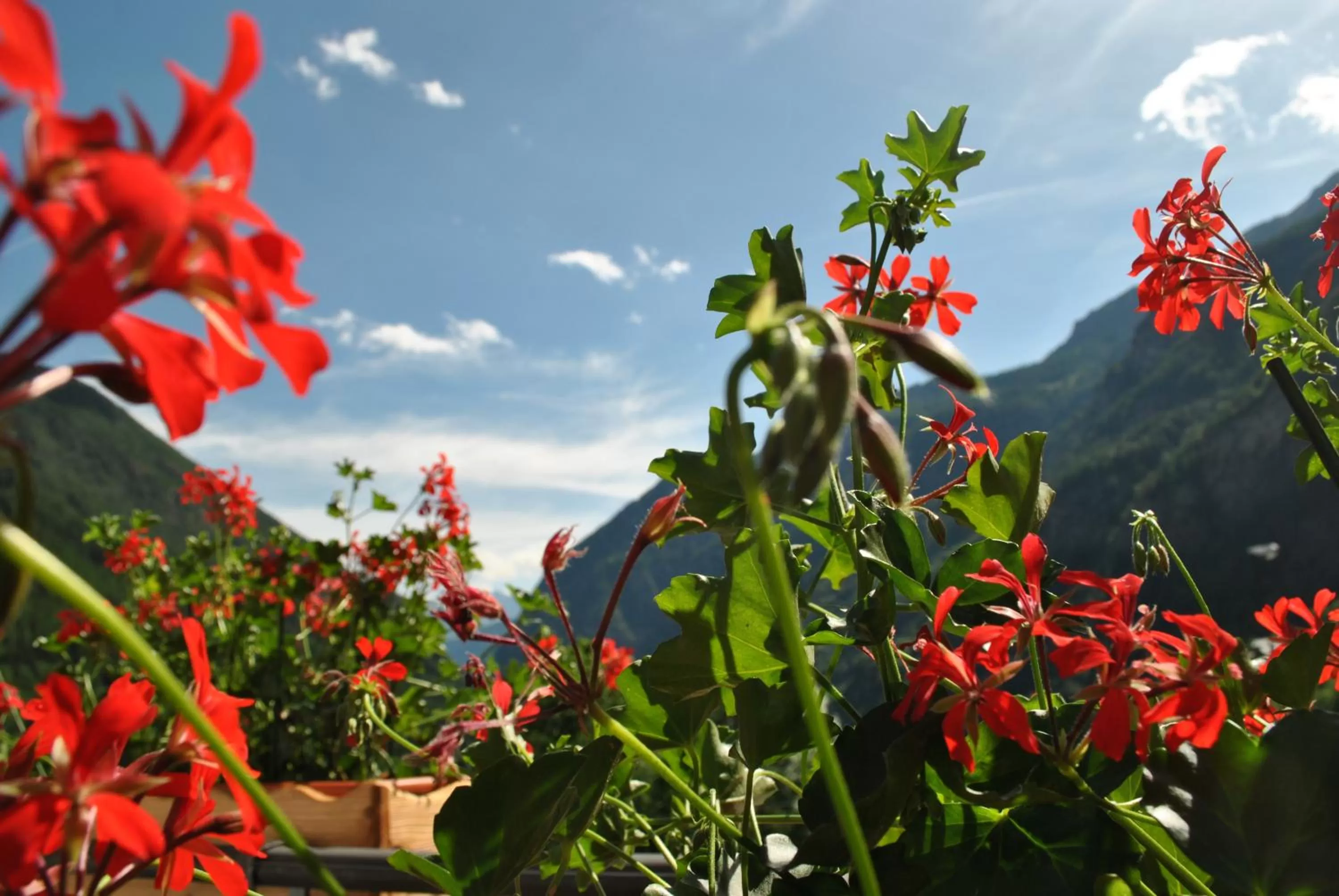 Property building in Hotell Millefiori- Alpine Event Lodge