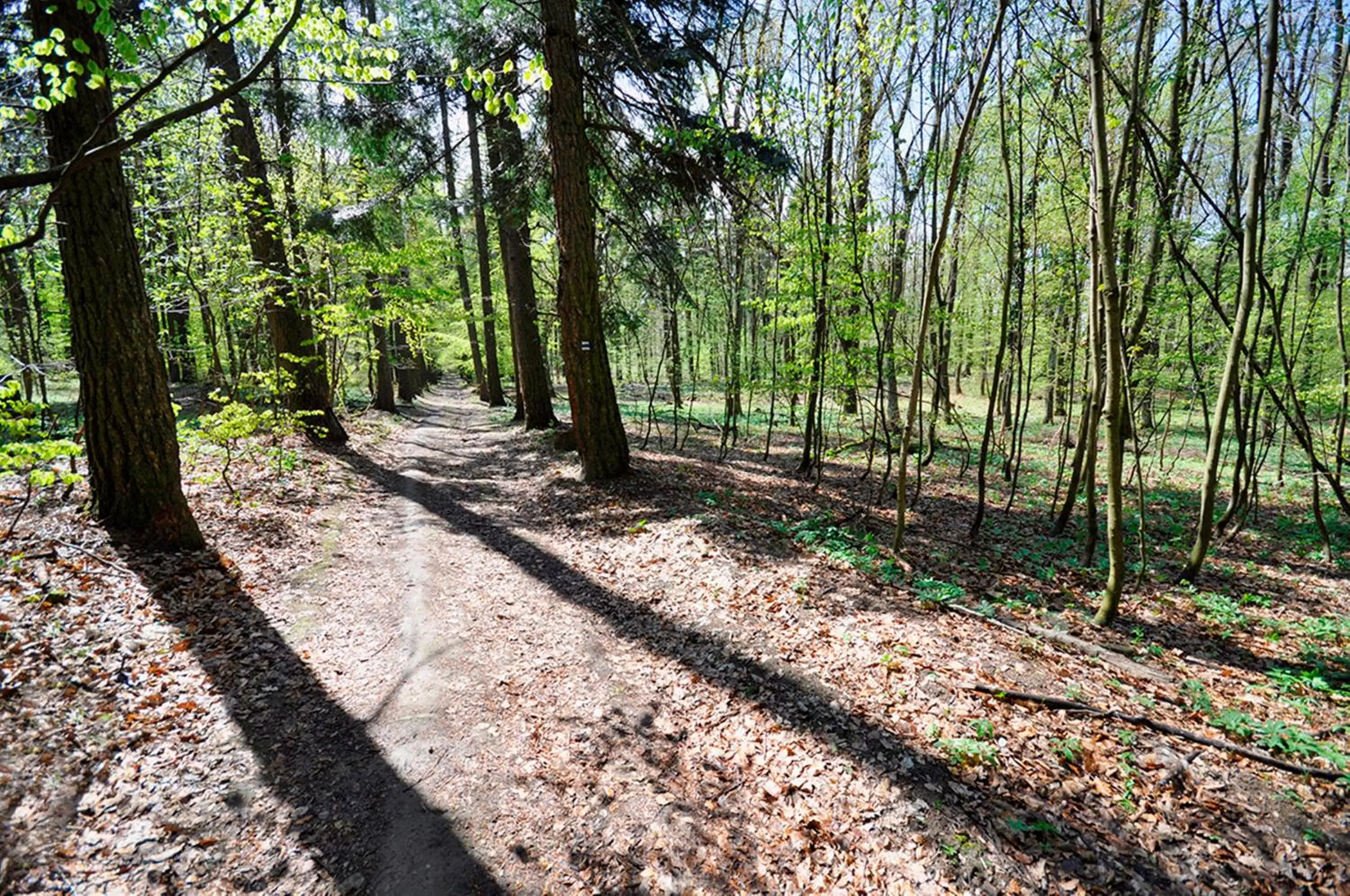 Natural Landscape in Spa & Pool Apartment Hotel - Restaurant VILLA IVICA