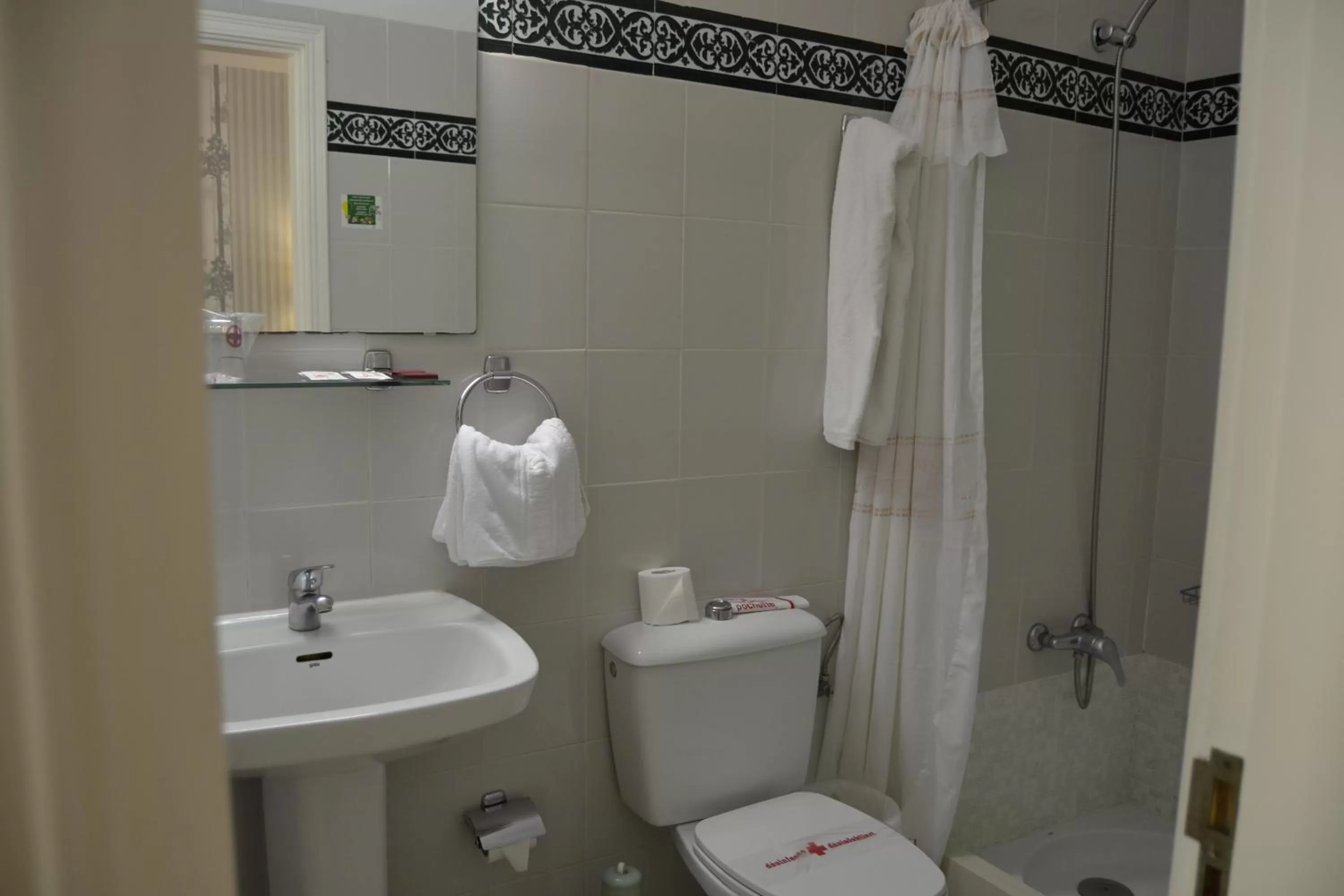 Toilet, Bathroom in Hotel Apartamentos Villa Gomera