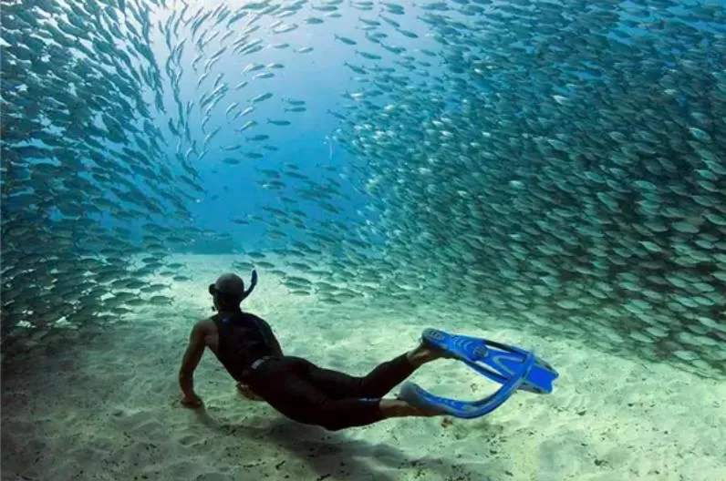 Activities in Pawikan Boutique Hotel