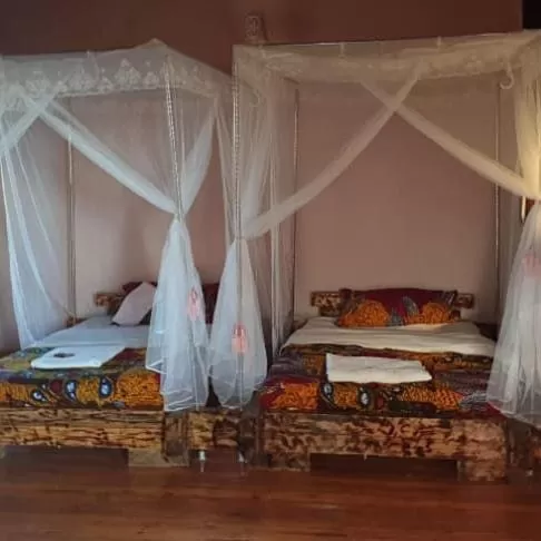 Bed in Elite Backpackers Services