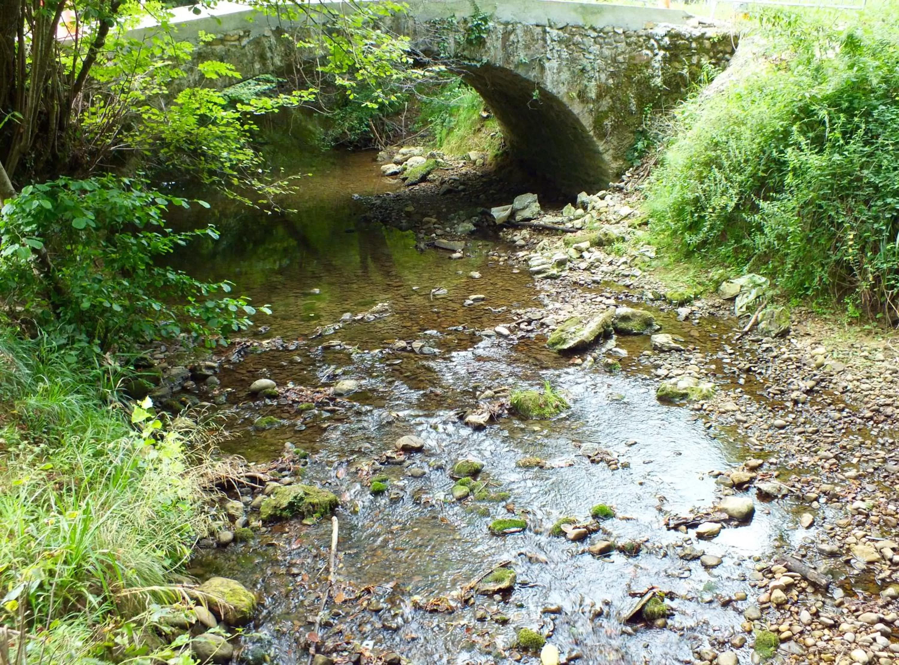 River view in B&B Au Moulin 1771