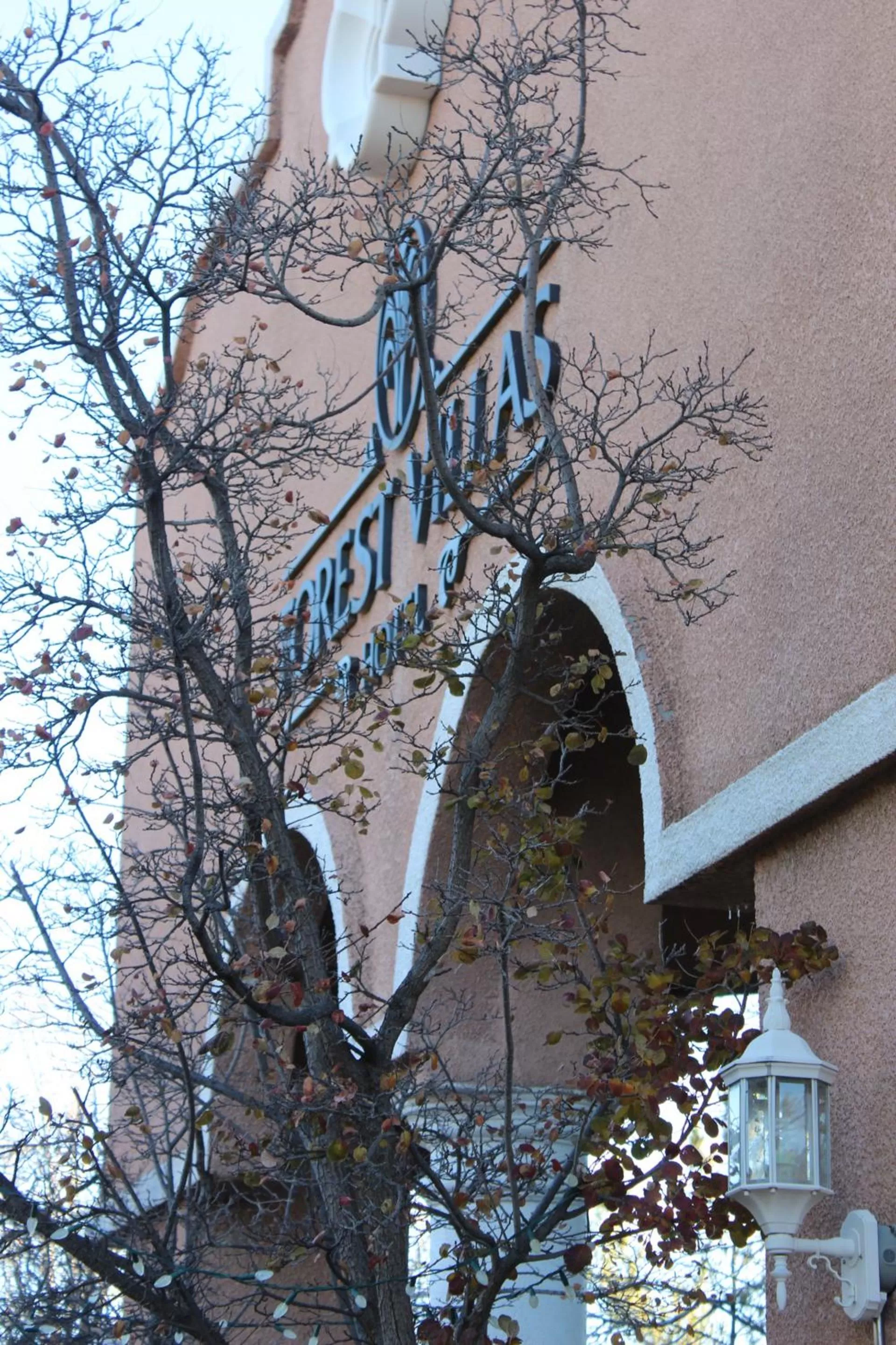 Facade/entrance in Forest Villas Hotel