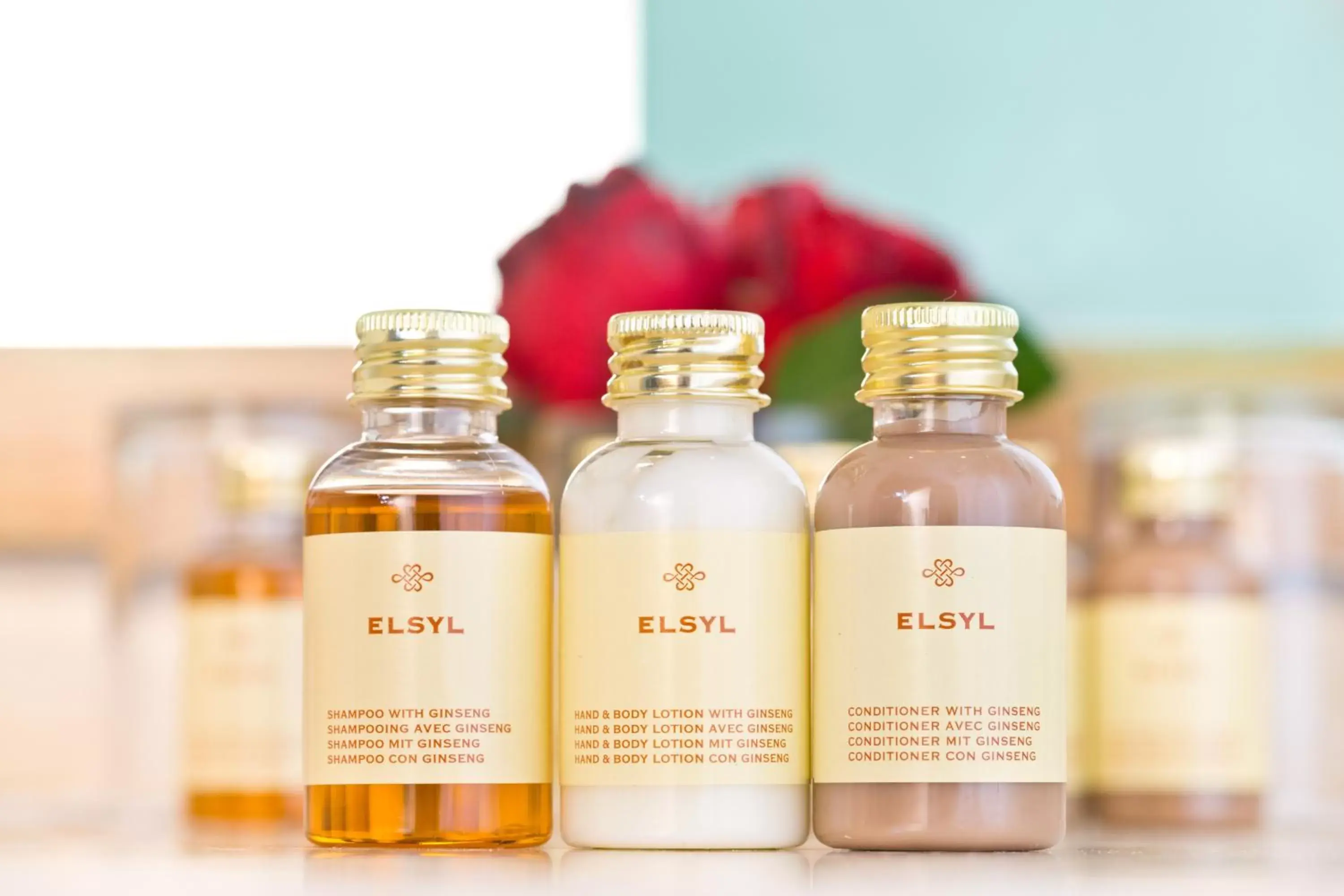 Executive Double Room in The Park City Grand Plaza Kensington Hotel Executive Double Room in The Park City Grand Plaza Kensington Hotel