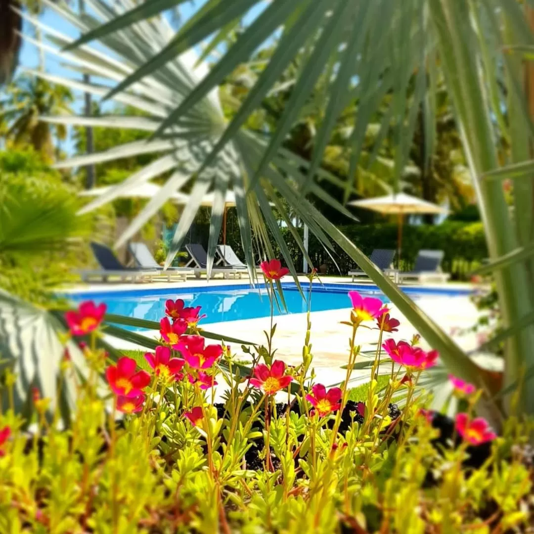 Pool view, Swimming Pool in Pousada Villages Boutique Hotel