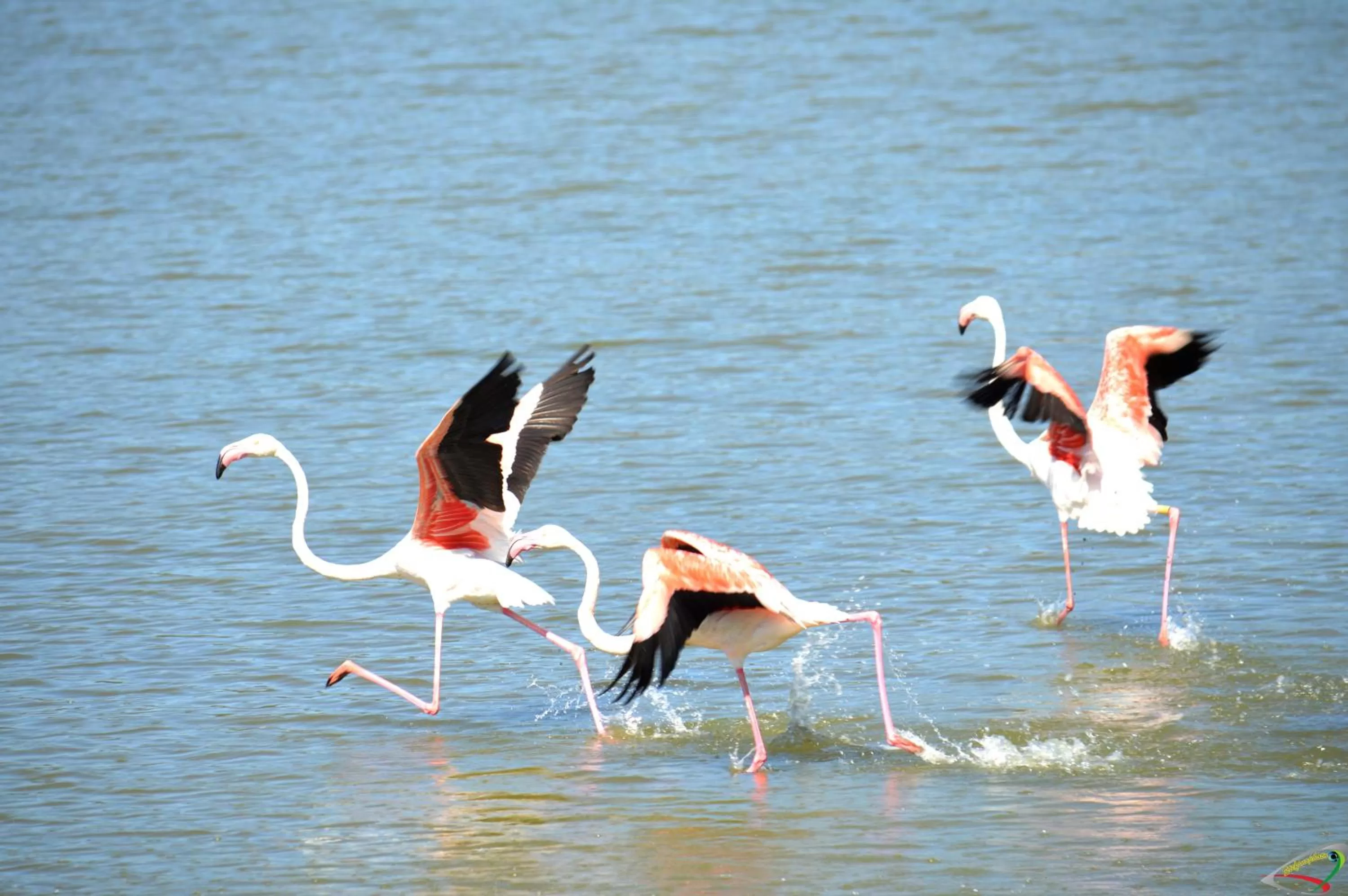 Day in Hotel Jasmine