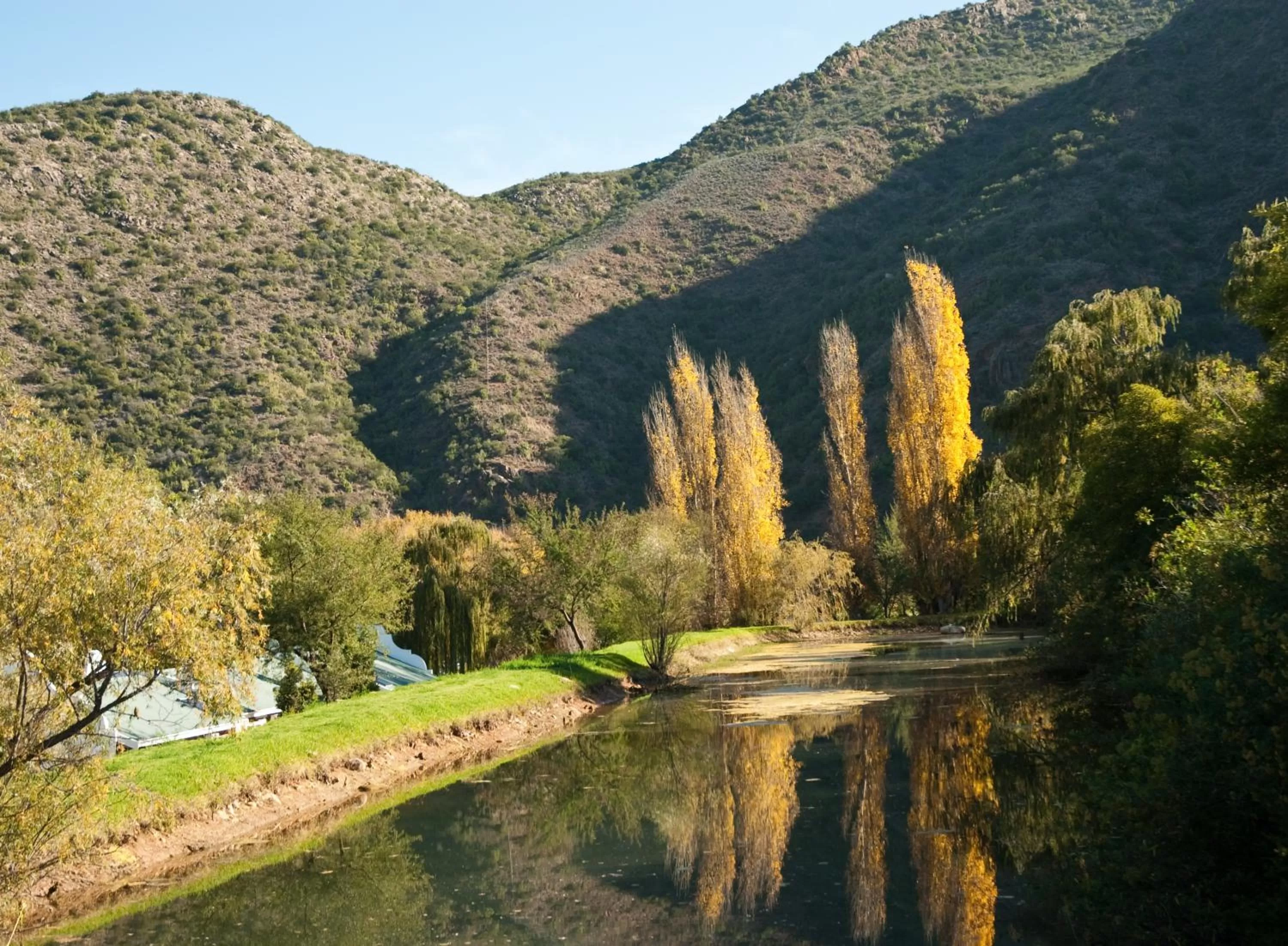 Old Mill Lodge, Seasonal Working Ostrich Farm & Restaurant, Oudtshoorn