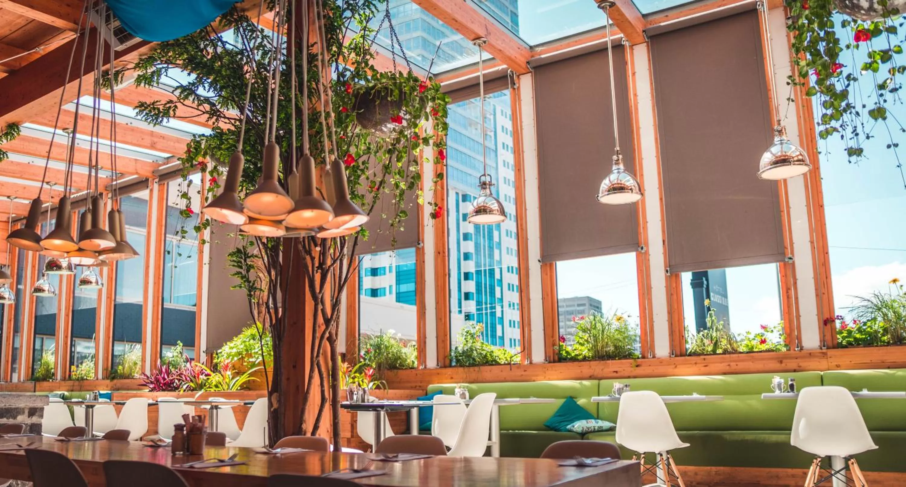 Restaurant/places to eat in Hotel Classique