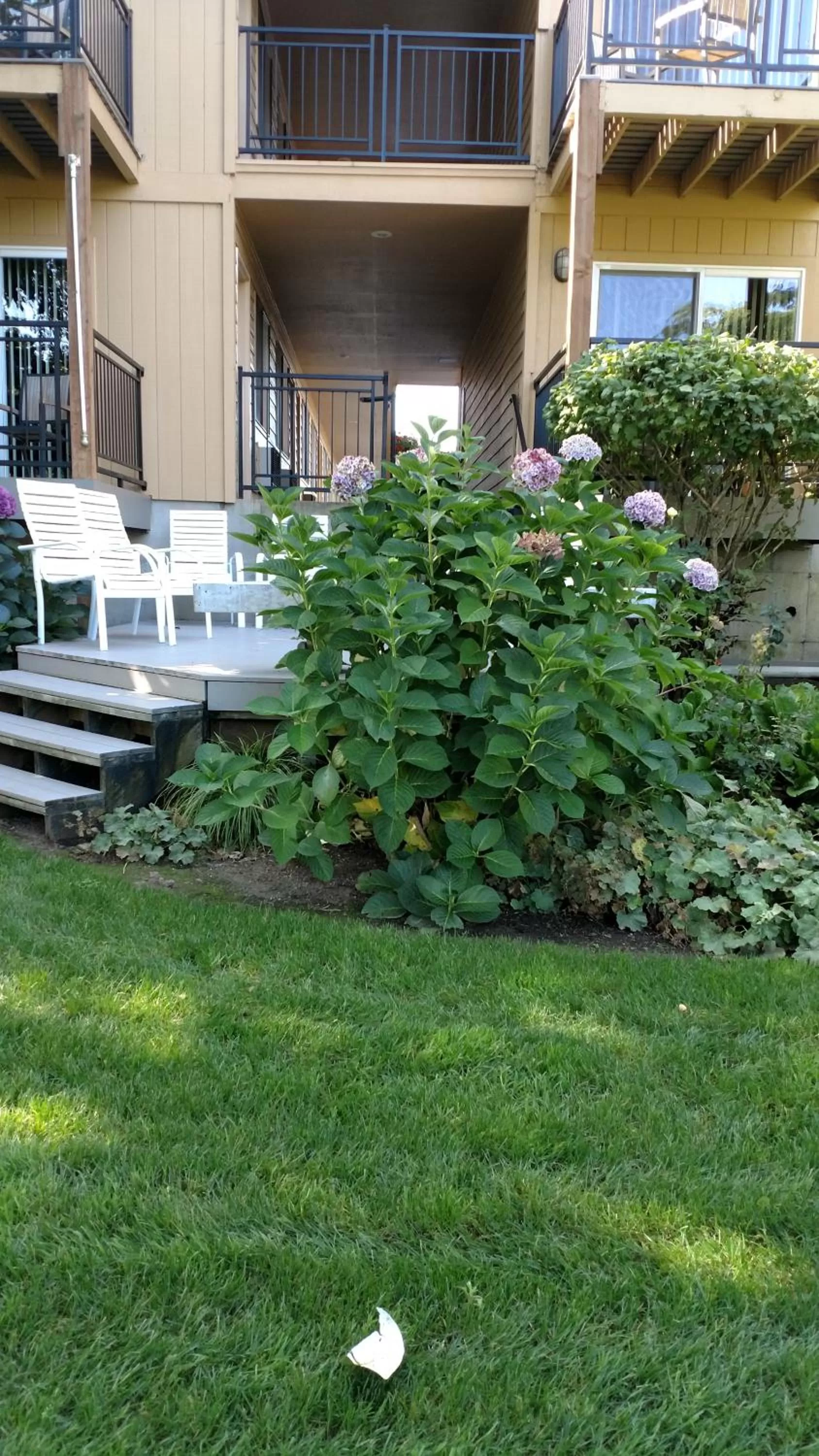 Patio in Lewis River Inn
