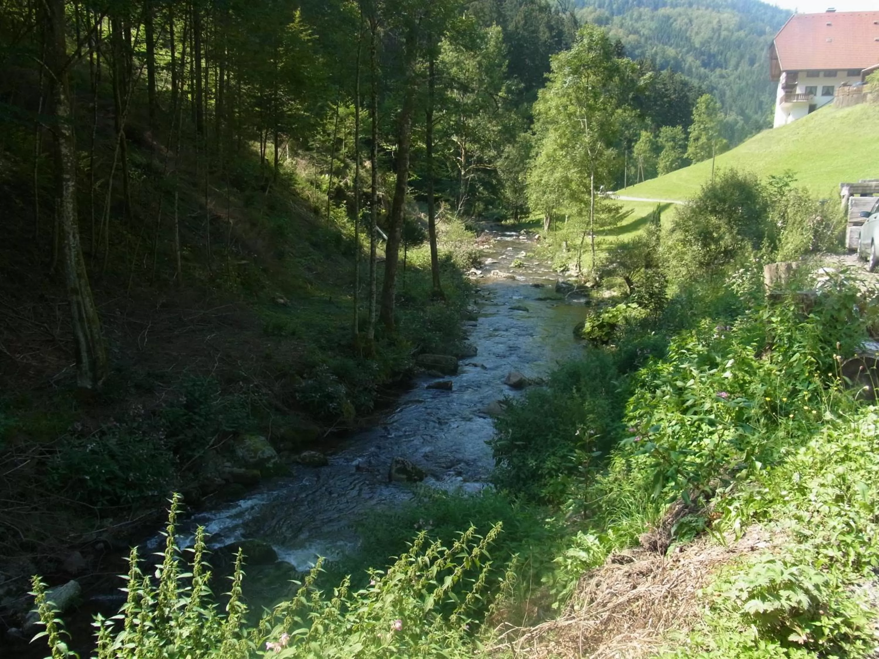 Natural landscape in ZUR TRAUBE Schwarzwaldhotel & Restaurant am Titisee