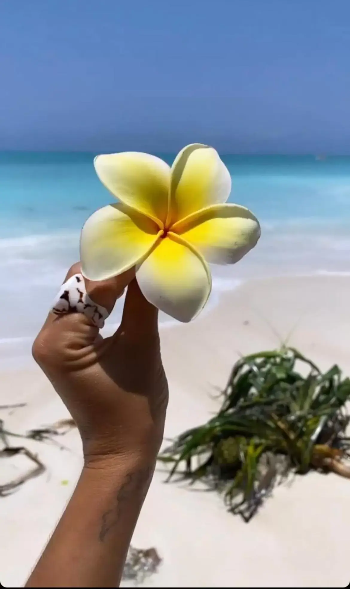 King Room with Garden View in Kihori Nungwi King Room with Garden View in Kihori Nungwi