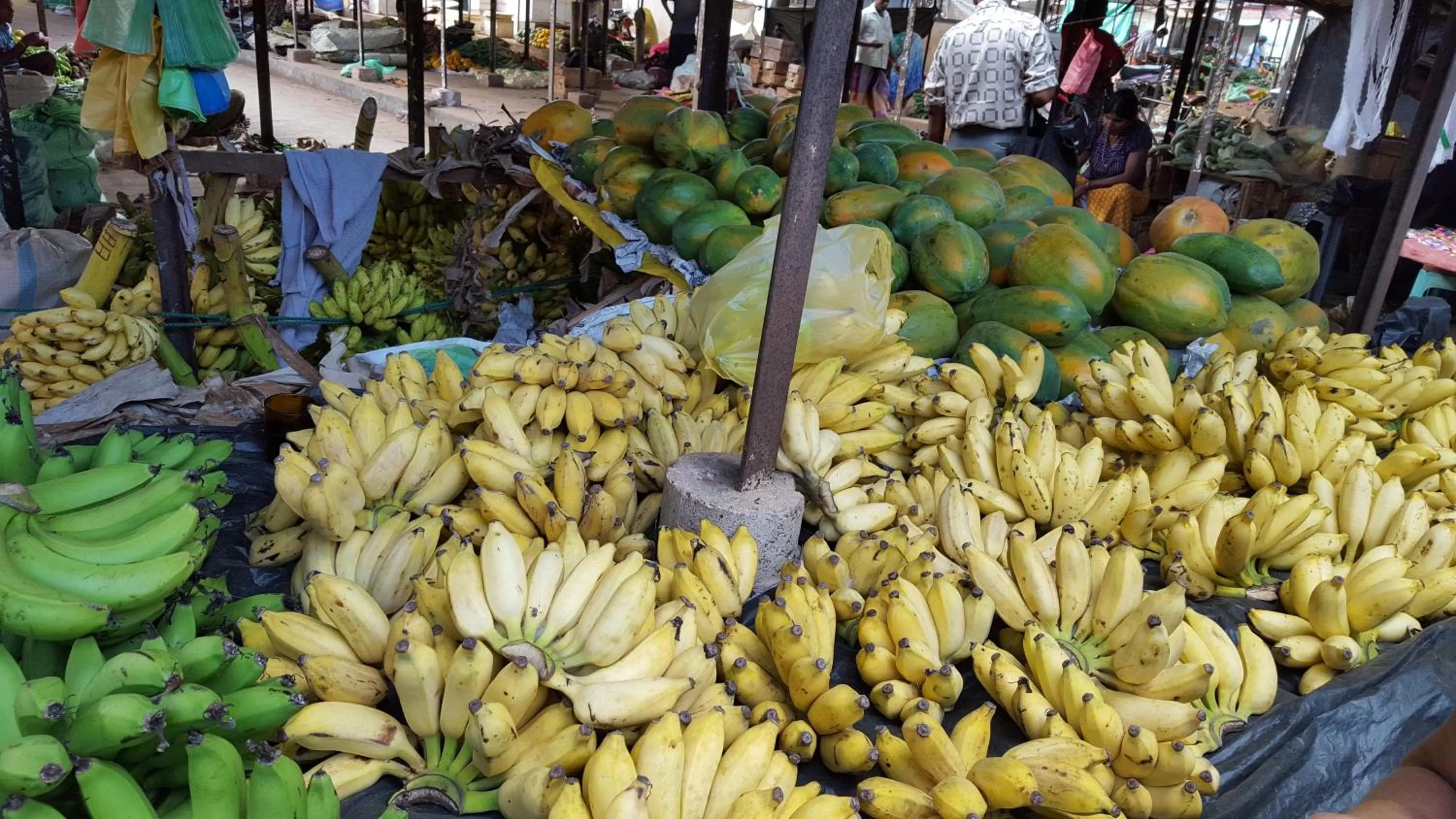 Shopping Area, Food in Little Paradise Tourist Guest House and Holiday Home